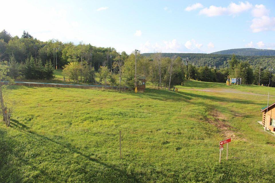 862 Silver Creek Road, Unit 2408 Snowshoe, WV 26209 - Photo 13 of 14 Gallery Image 13
