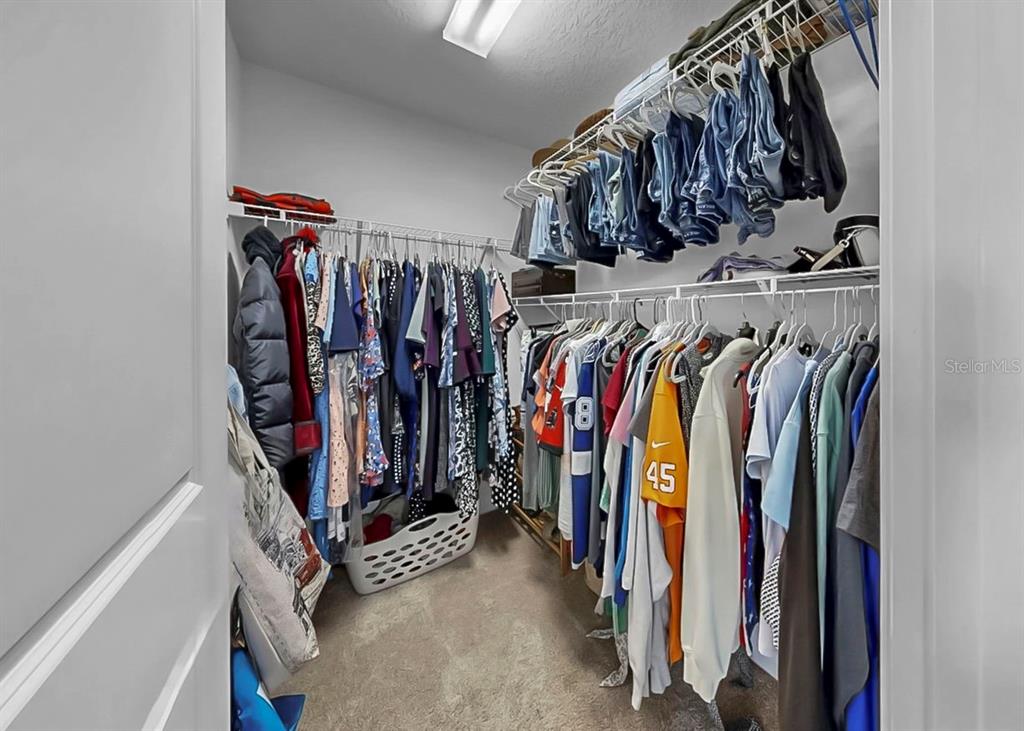 10212 Newel Valley Loop Riverview, FL 33569 - Photo 19 of 72 a view of walk in closet with clothes