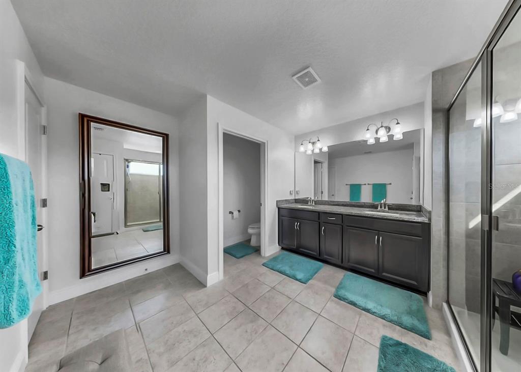 10212 Newel Valley Loop Riverview, FL 33569 - Photo 21 of 72 a large bathroom with a large mirror vanity and shower