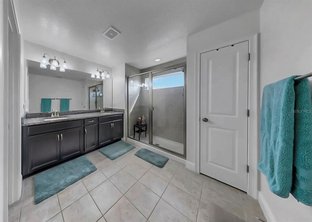 10212 Newel Valley Loop Riverview, FL 33569 - Photo 5 of 72 a large bathroom with a large mirror vanity and shower