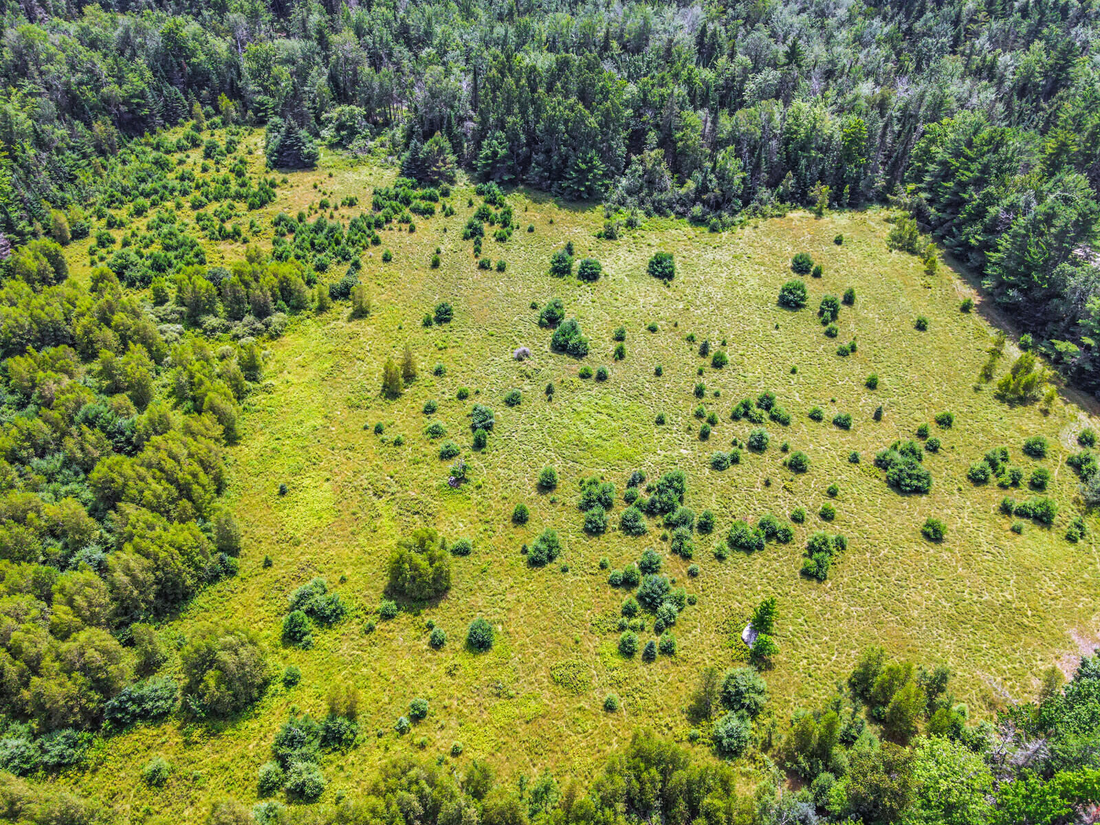 0 Raven / Hamm Road Thorndike, ME 04986 - Photo 13 of 14 11_DJI_0826_copy_DxO_mls