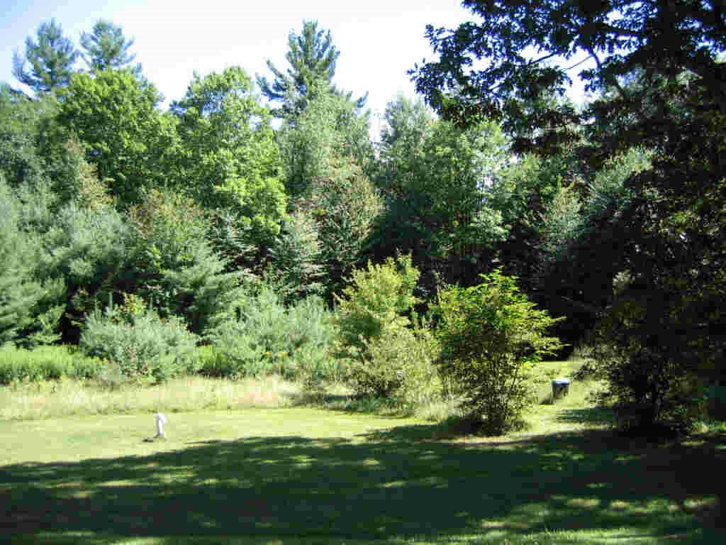 113 Clay Hill Road Hartland, VT 05048 - Photo 19 of 23