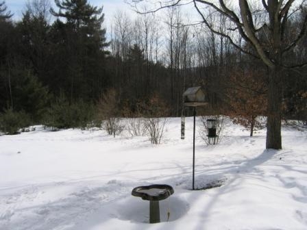113 Clay Hill Road Hartland, VT 05048 - Photo 20 of 23