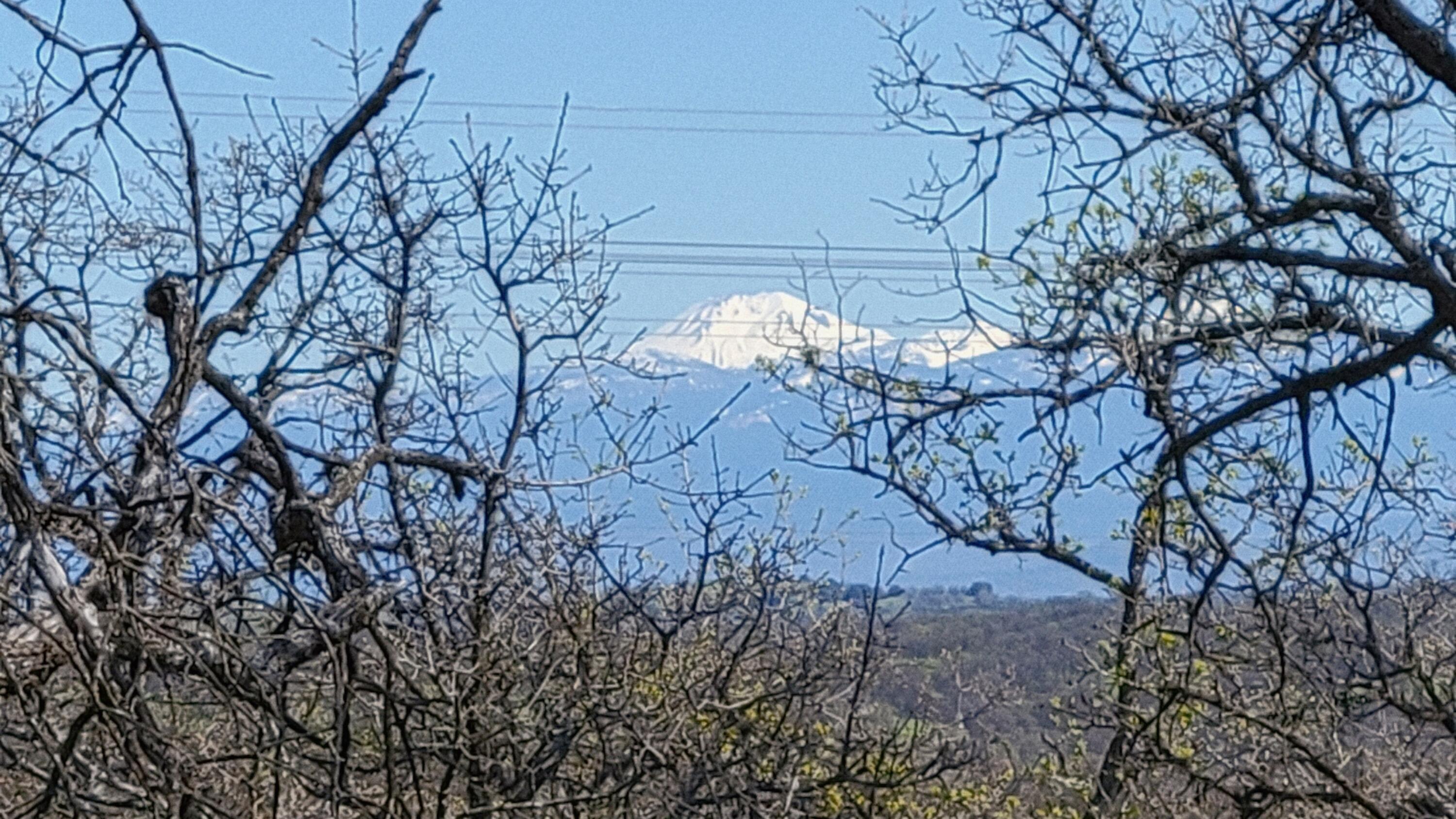 Lot 41 Quail Ridge Road Cottonwood, CA 96022 - Photo 15 of 34 a backyard of a house with lots of green space