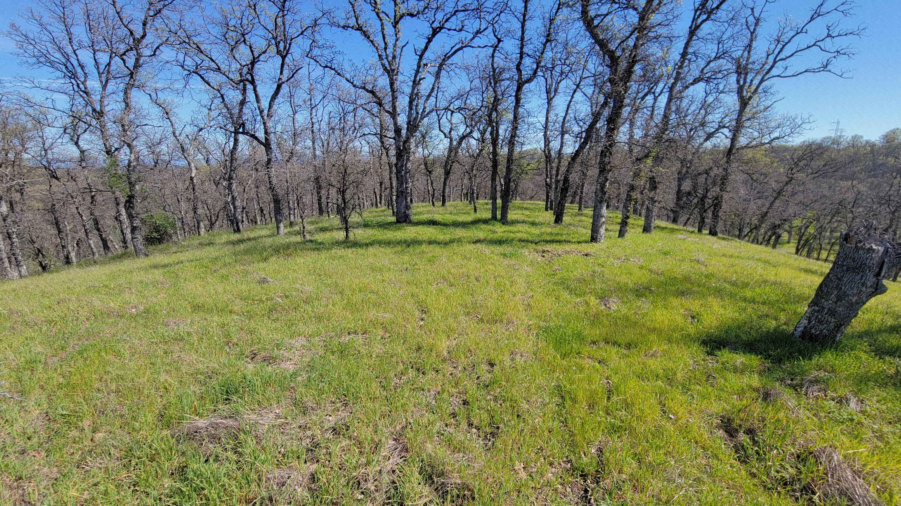 Lot 41 Quail Ridge Road Cottonwood, CA 96022 - Photo 16 of 34 a view of outdoor space with deck and trees