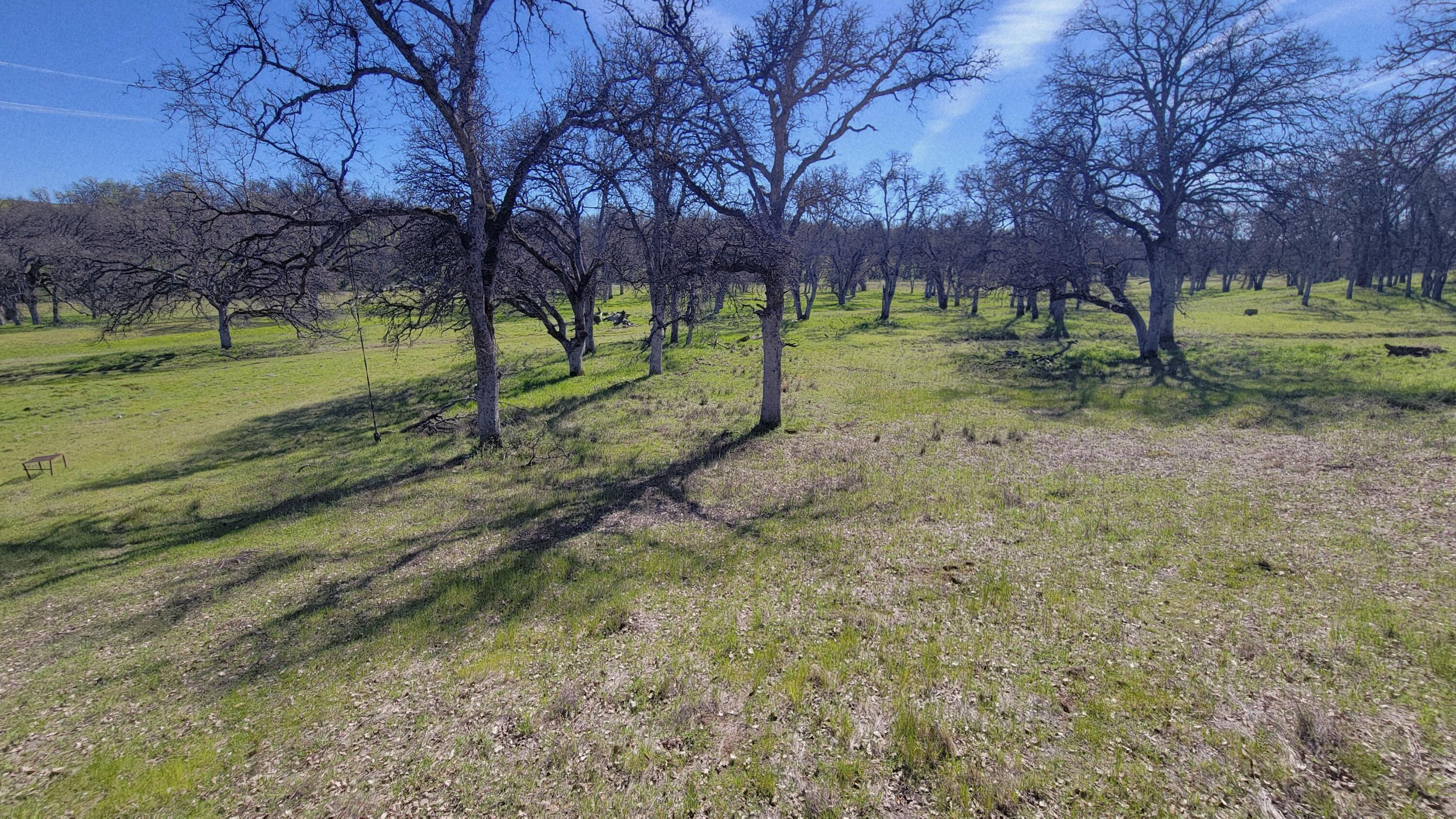 Lot 41 Quail Ridge Road Cottonwood, CA 96022 - Photo 20 of 34 a view of a park