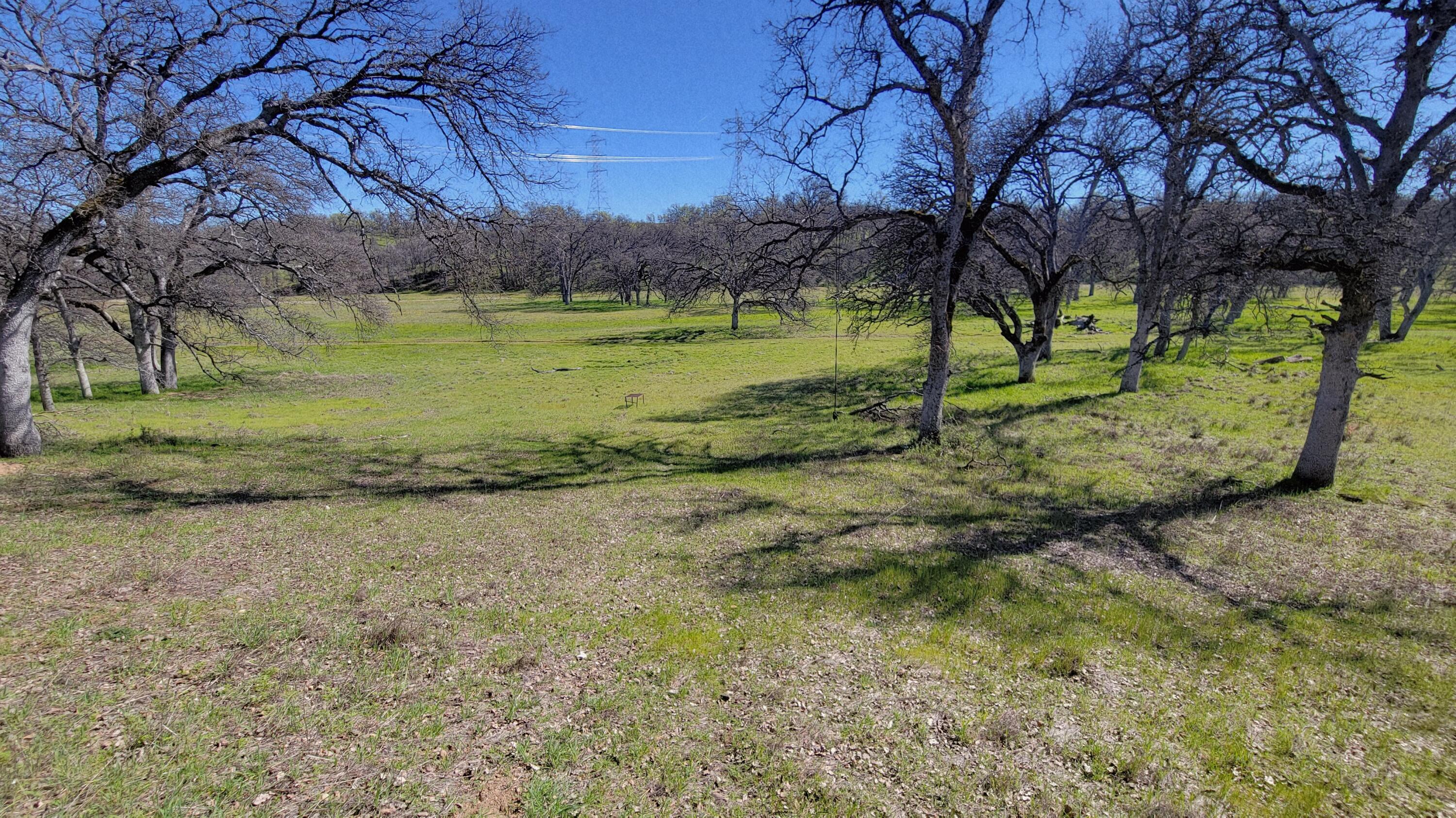 Lot 41 Quail Ridge Road Cottonwood, CA 96022 - Photo 21 of 34 a view of a yard with a tree