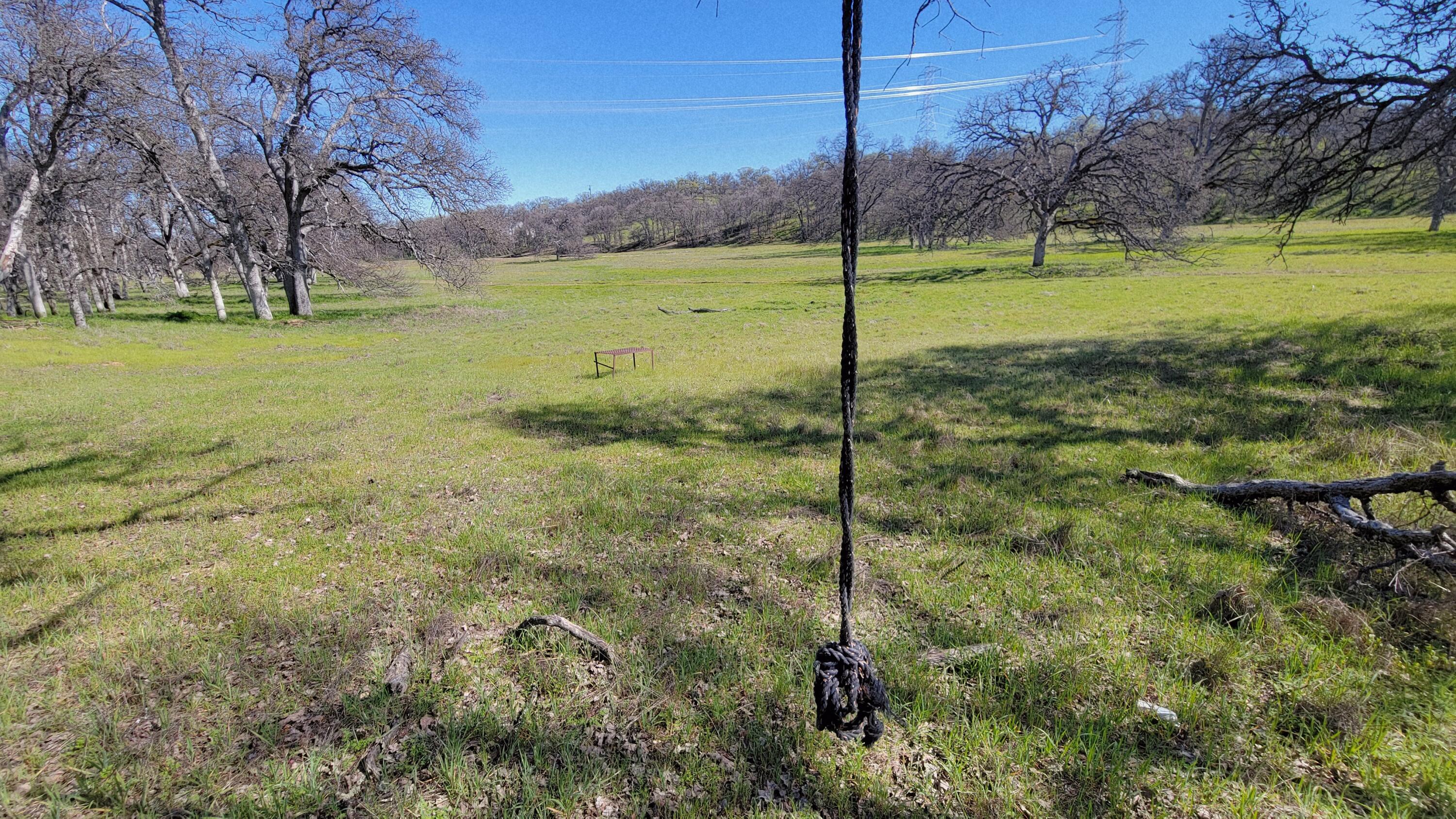 Lot 41 Quail Ridge Road Cottonwood, CA 96022 - Photo 22 of 34 a view of a trees with a yard