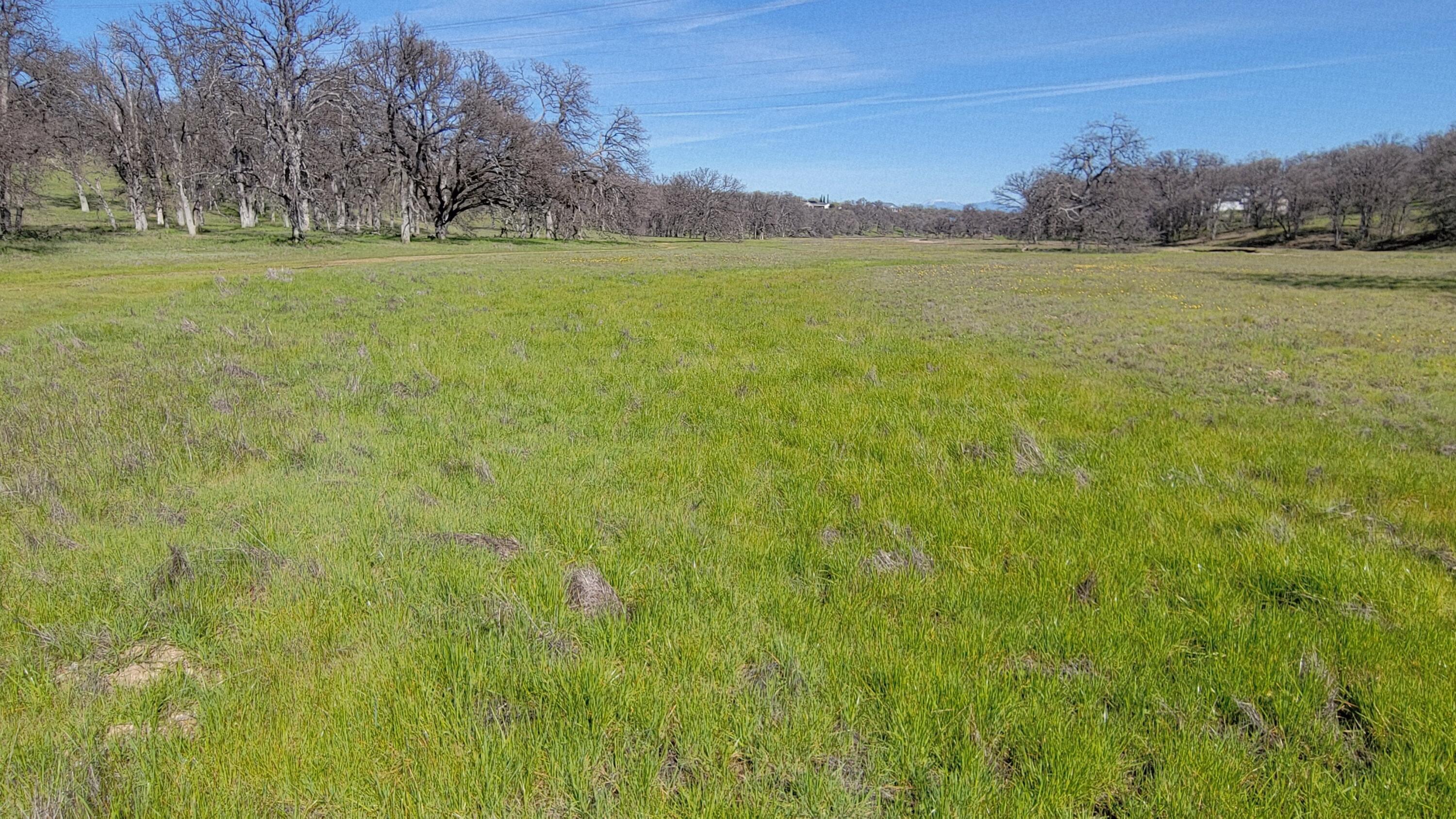 Lot 41 Quail Ridge Road Cottonwood, CA 96022 - Photo 24 of 34 a view of outdoor space with mountain view