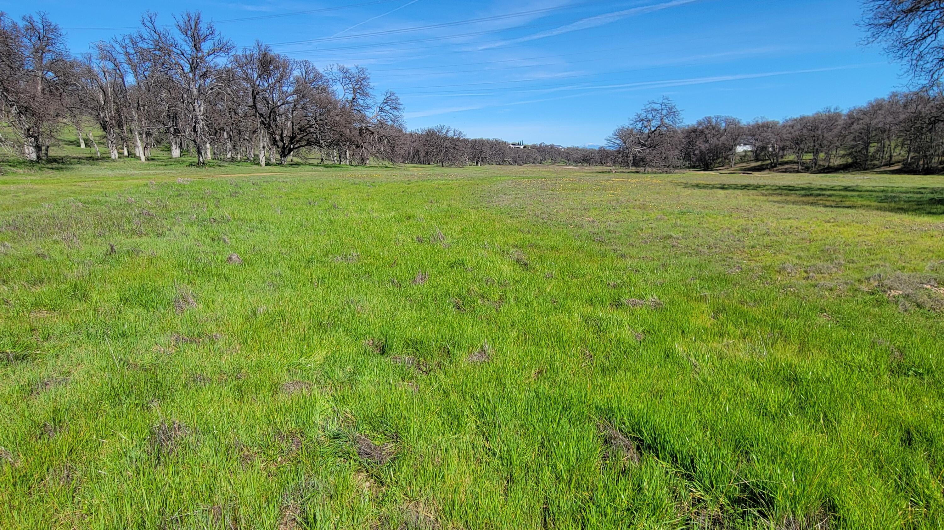 Lot 41 Quail Ridge Road Cottonwood, CA 96022 - Photo 26 of 34 a view of an outdoor space and a yard