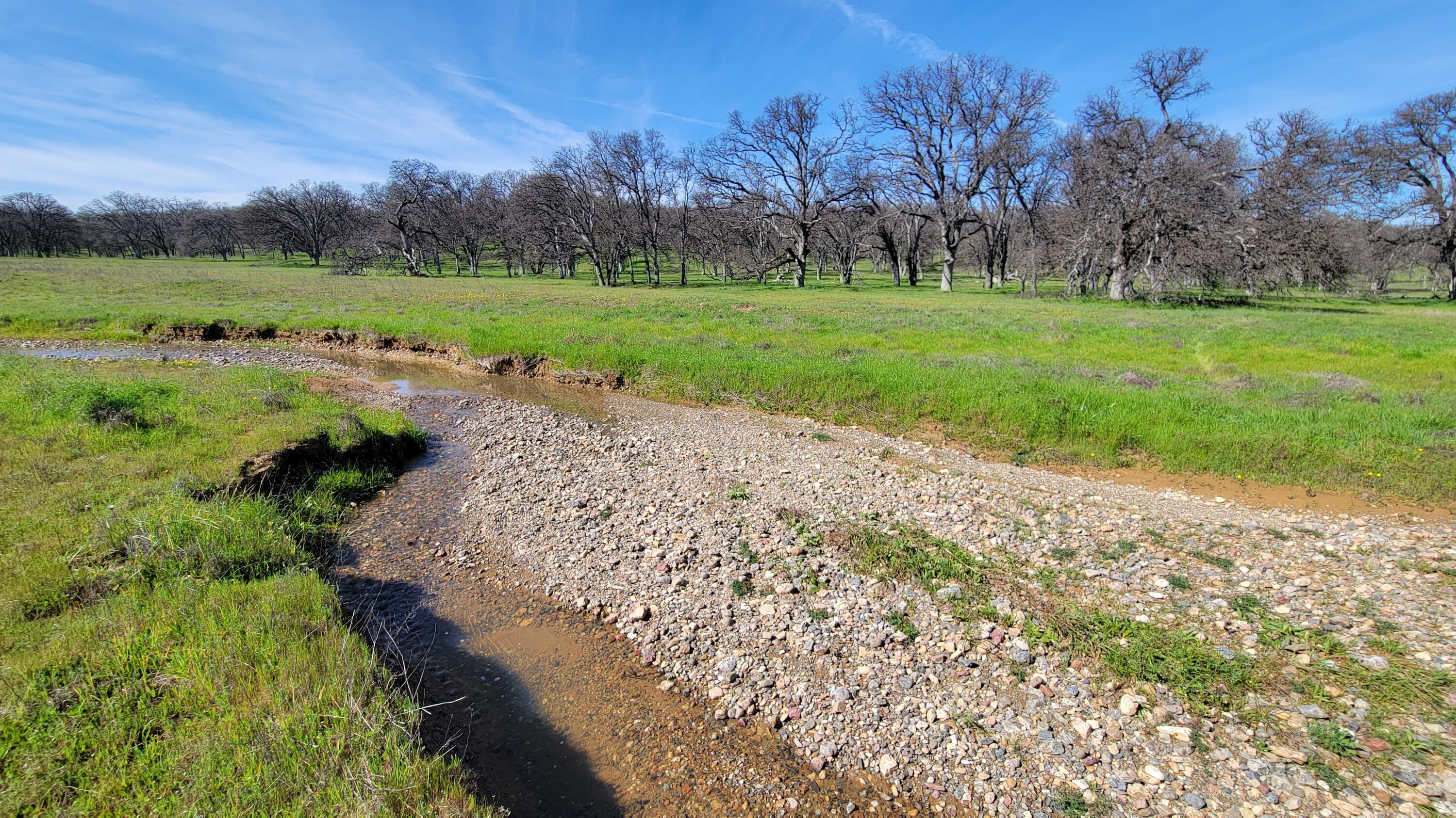 Lot 41 Quail Ridge Road Cottonwood, CA 96022 - Photo 29 of 34 a view of a garden with an outdoor space