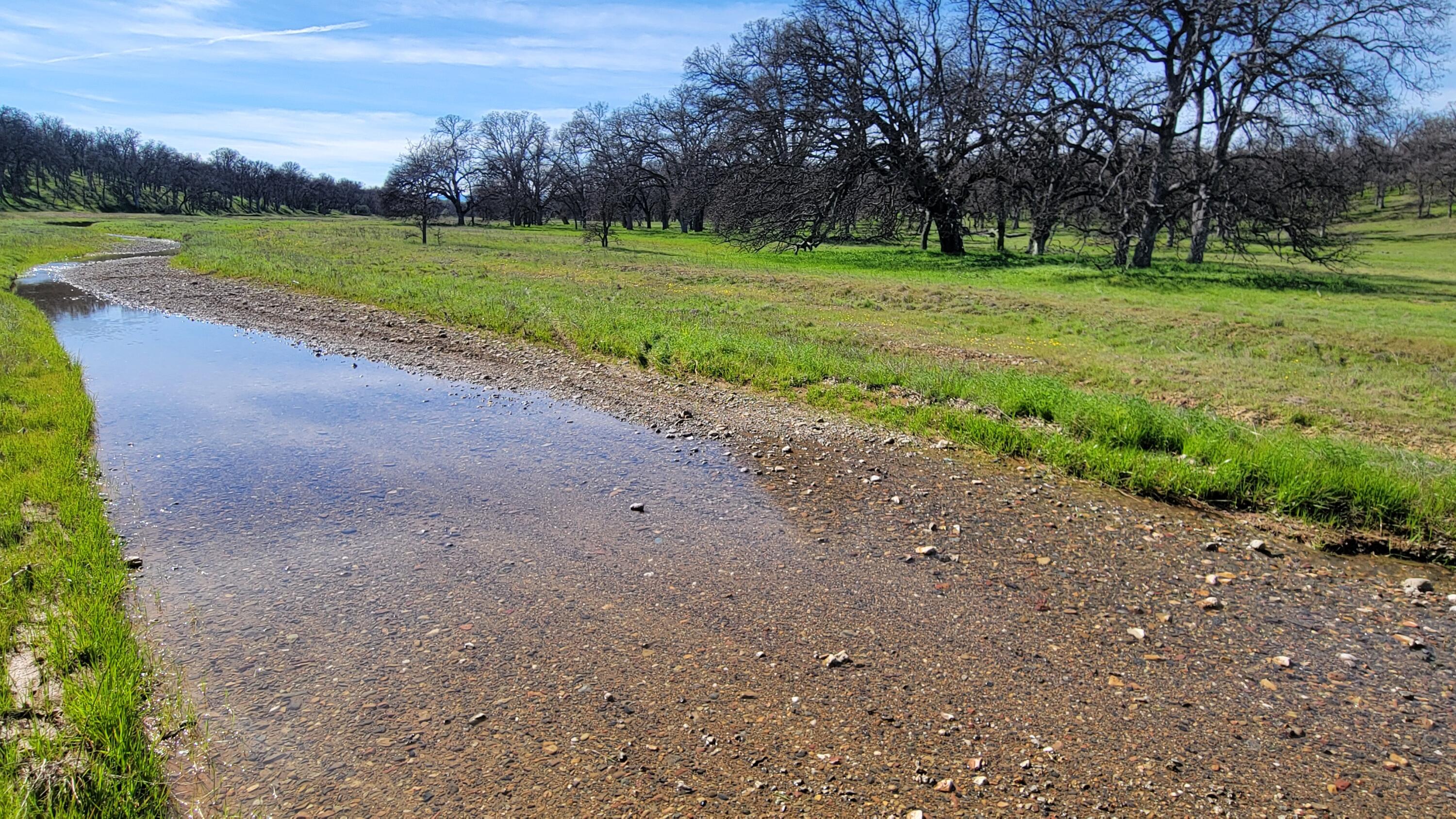 Lot 41 Quail Ridge Road Cottonwood, CA 96022 - Photo 30 of 34 a view of a park with large trees