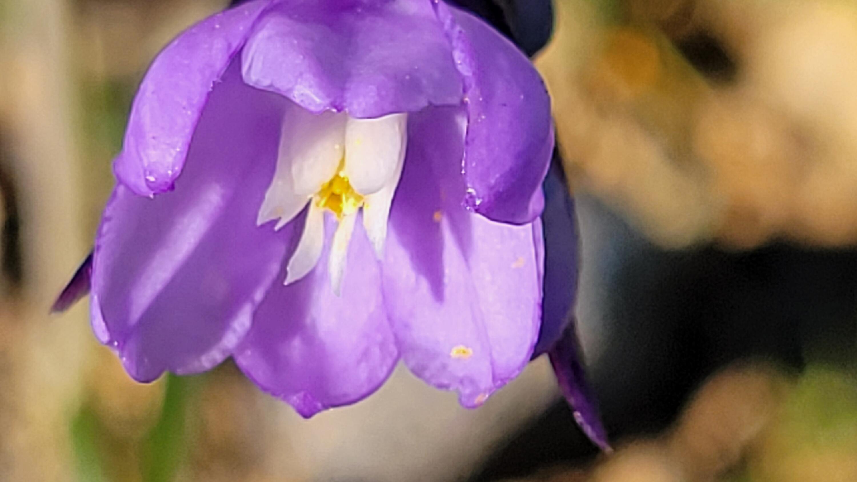 Lot 41 Quail Ridge Road Cottonwood, CA 96022 - Photo 5 of 34 a view of a room