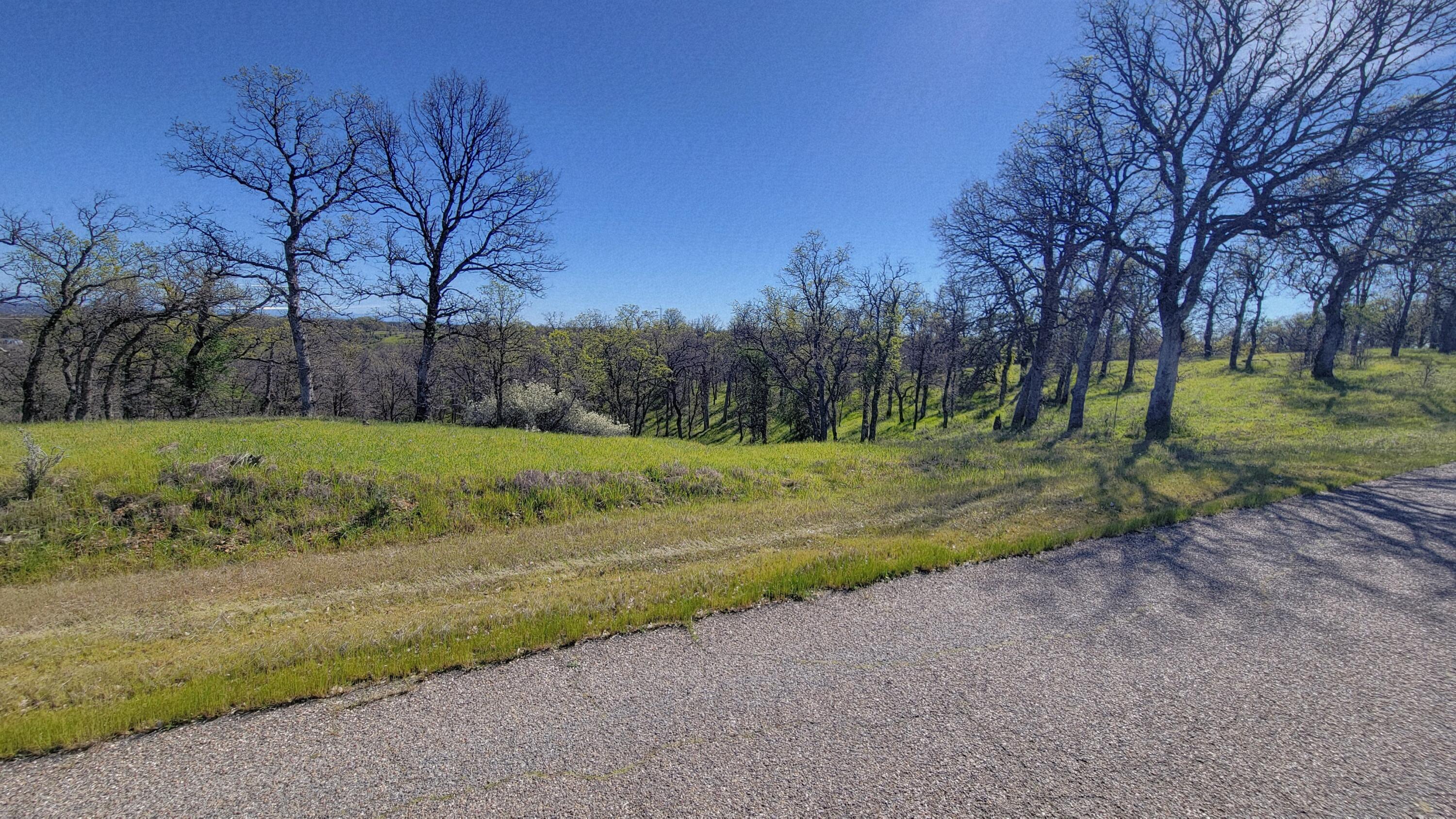 Lot 41 Quail Ridge Road Cottonwood, CA 96022 - Photo 10 of 34 a view of a park