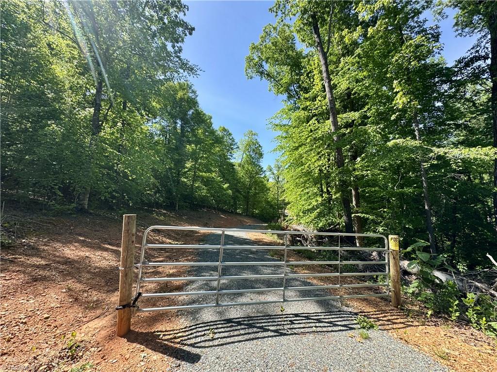 0 Routh Road Franklinville, NC 27248 - Photo 3 of 25 Gallery Image 3
