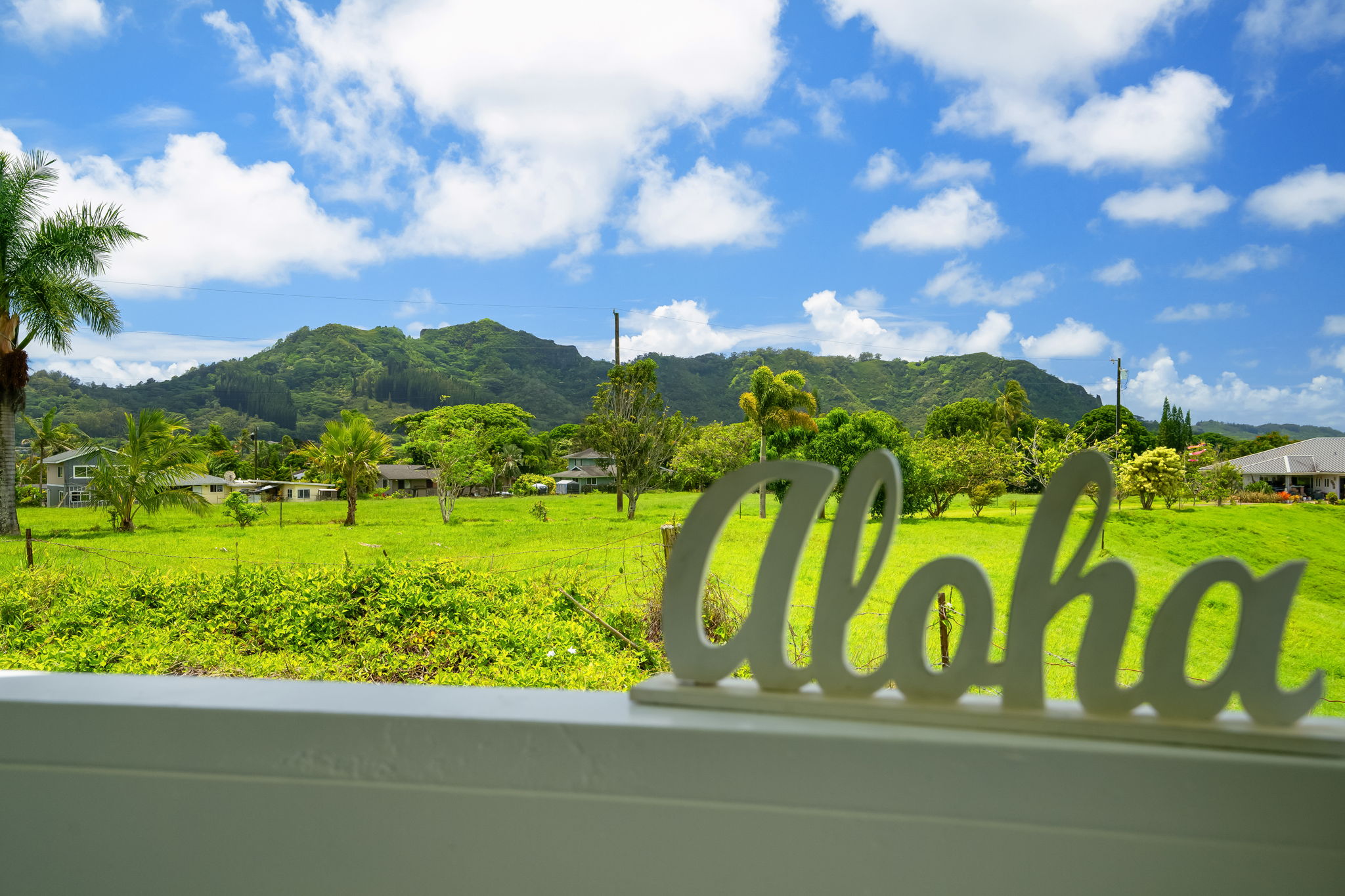 6395 Olohena Road Kapaa, HI 96746 - Photo 2 of 26