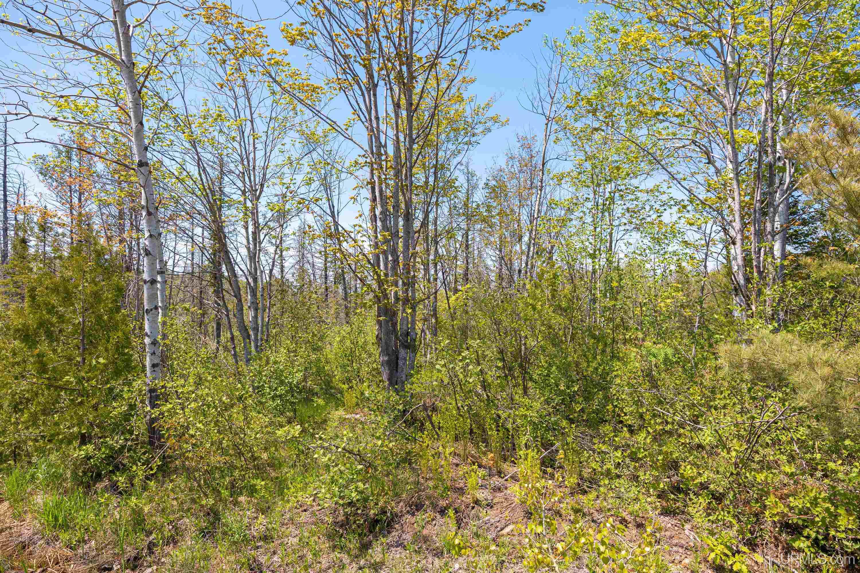 Lot 1 Airport Road, Unit CO RD 35B Calumet, MI 49913 - Photo 7 of 19