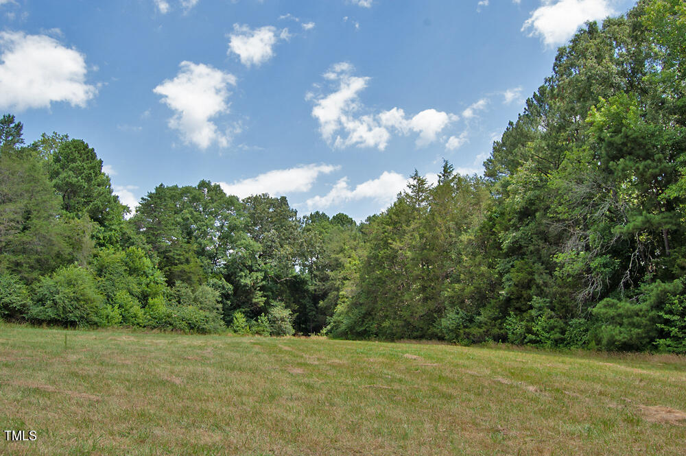 396 Agpark Road Pittsboro, NC 27312 - Photo 7 of 23 DSC_0440