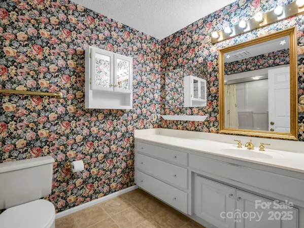 a bathroom with a sink mirror vanity and toilet