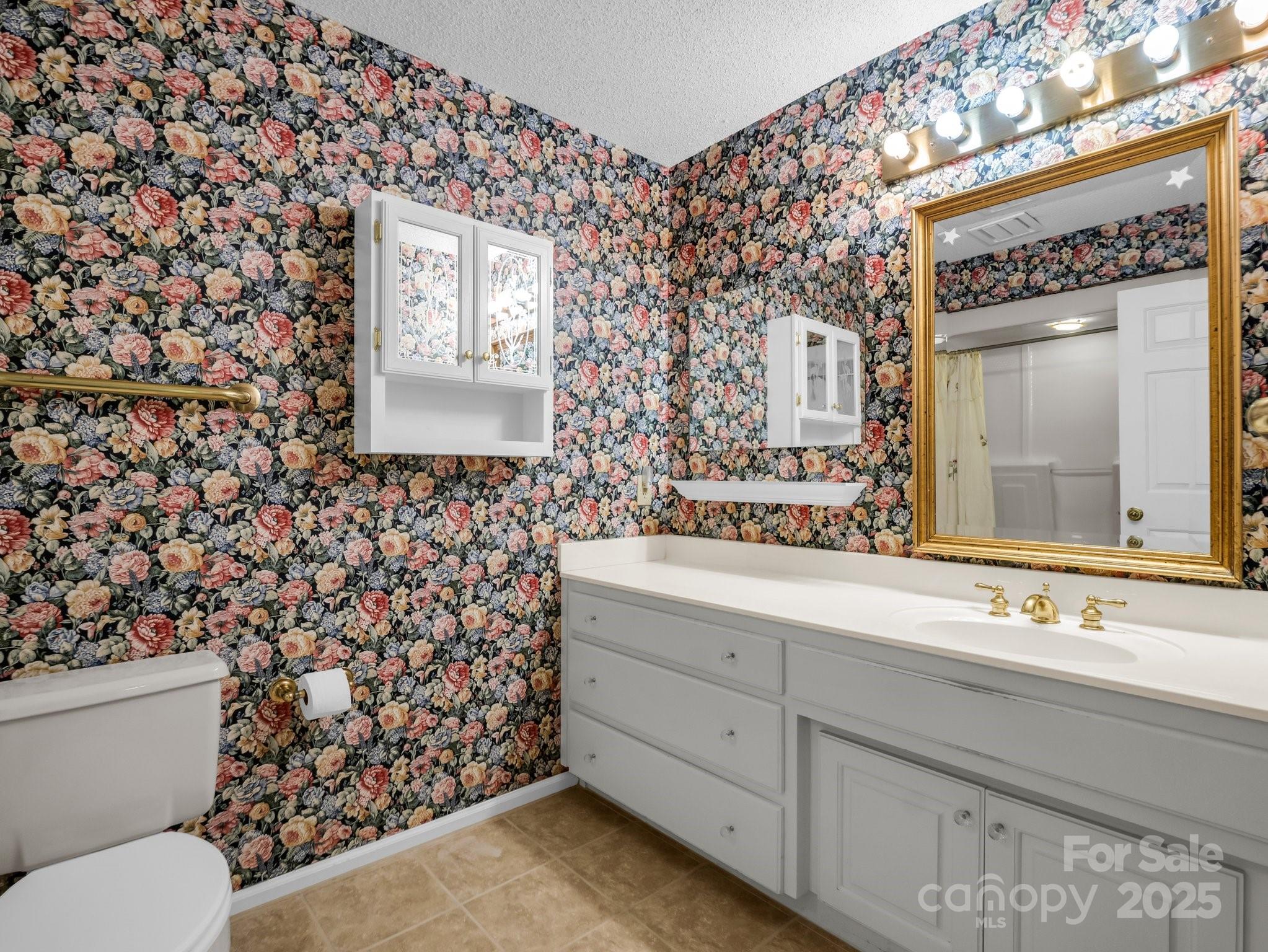 31 Hunting Country Trail Tryon, NC 28782 - Photo 20 of 40 a bathroom with a sink mirror vanity and toilet
