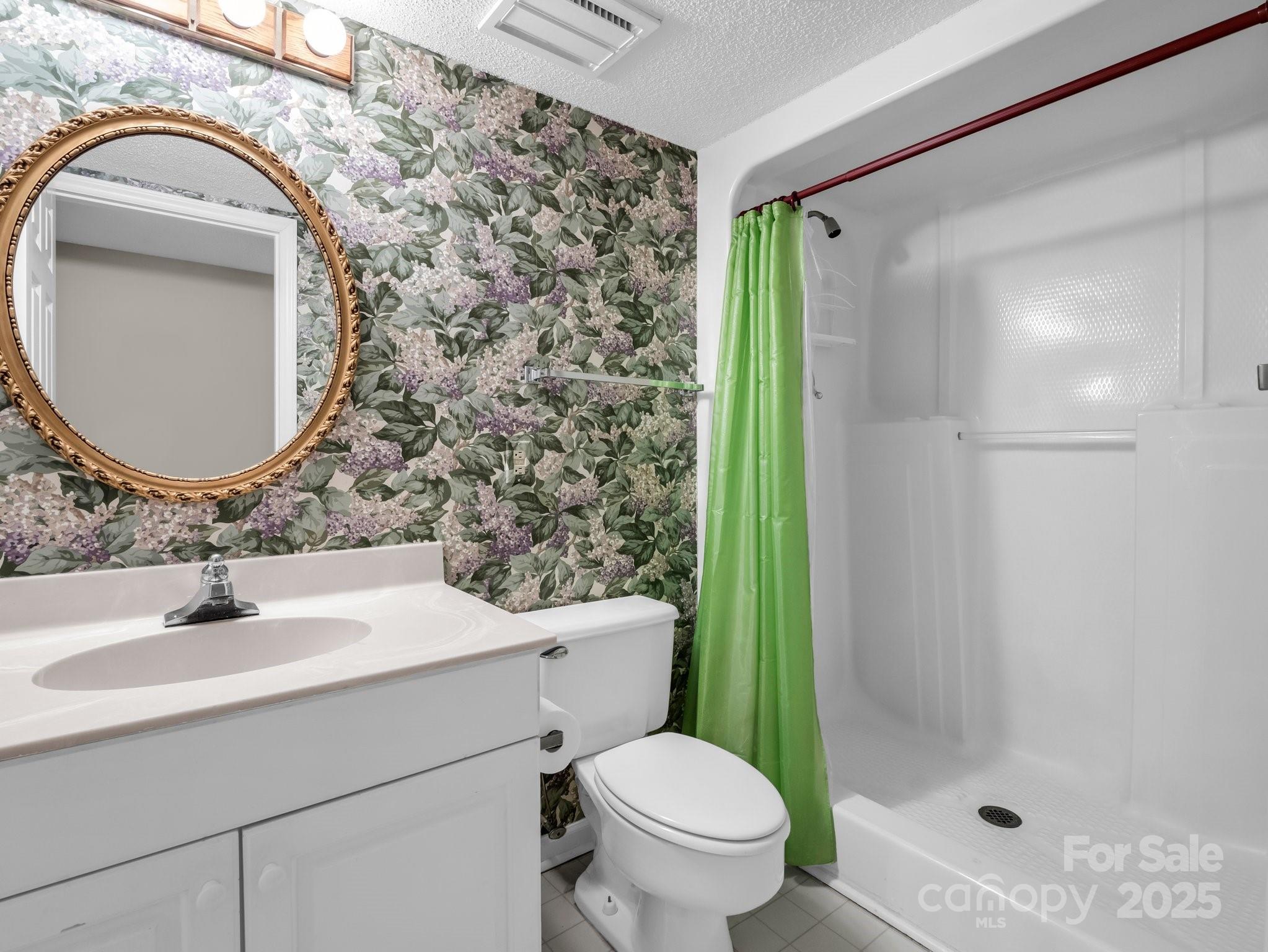 31 Hunting Country Trail Tryon, NC 28782 - Photo 32 of 40 a bathroom with a sink toilet and shower