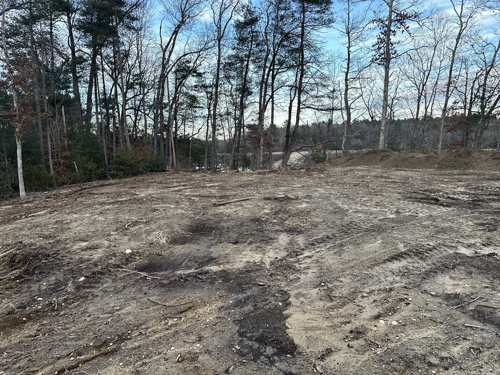 91 Snow Street Hanson, MA 02341 - Photo 2 of 7 a backyard of a house with lots of green space