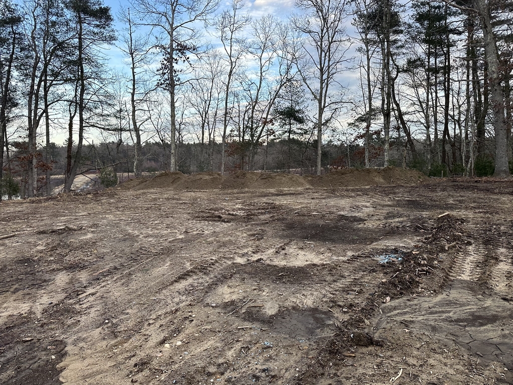 91 Snow Street Hanson, MA 02341 - Photo 3 of 7 a view of a backyard with large trees