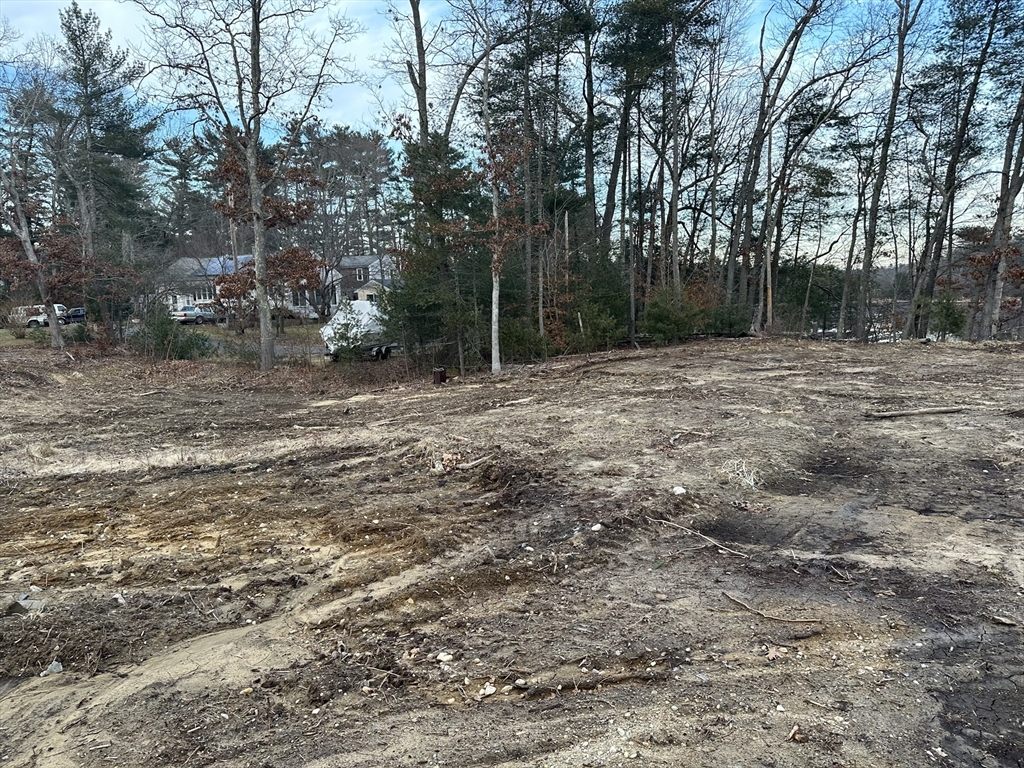 91 Snow Street Hanson, MA 02341 - Photo 4 of 7 a view of a yard with plants and trees