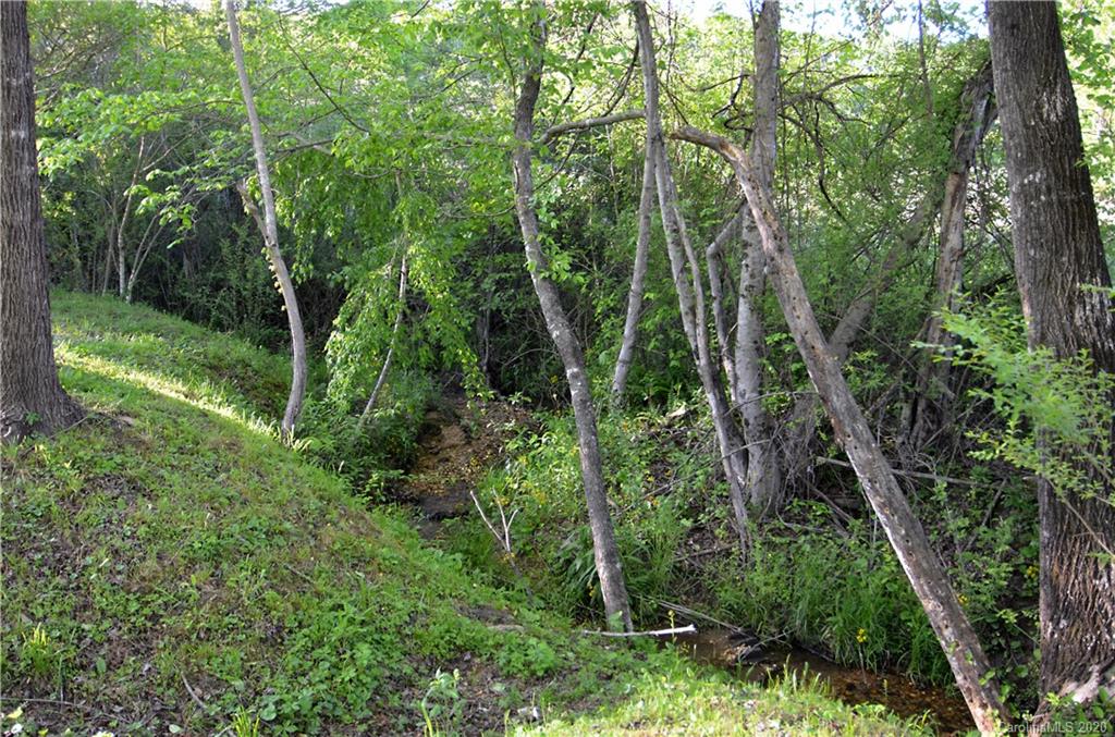 358 Toney Road Marion, NC 28752 - Photo 18 of 21 a view of forest