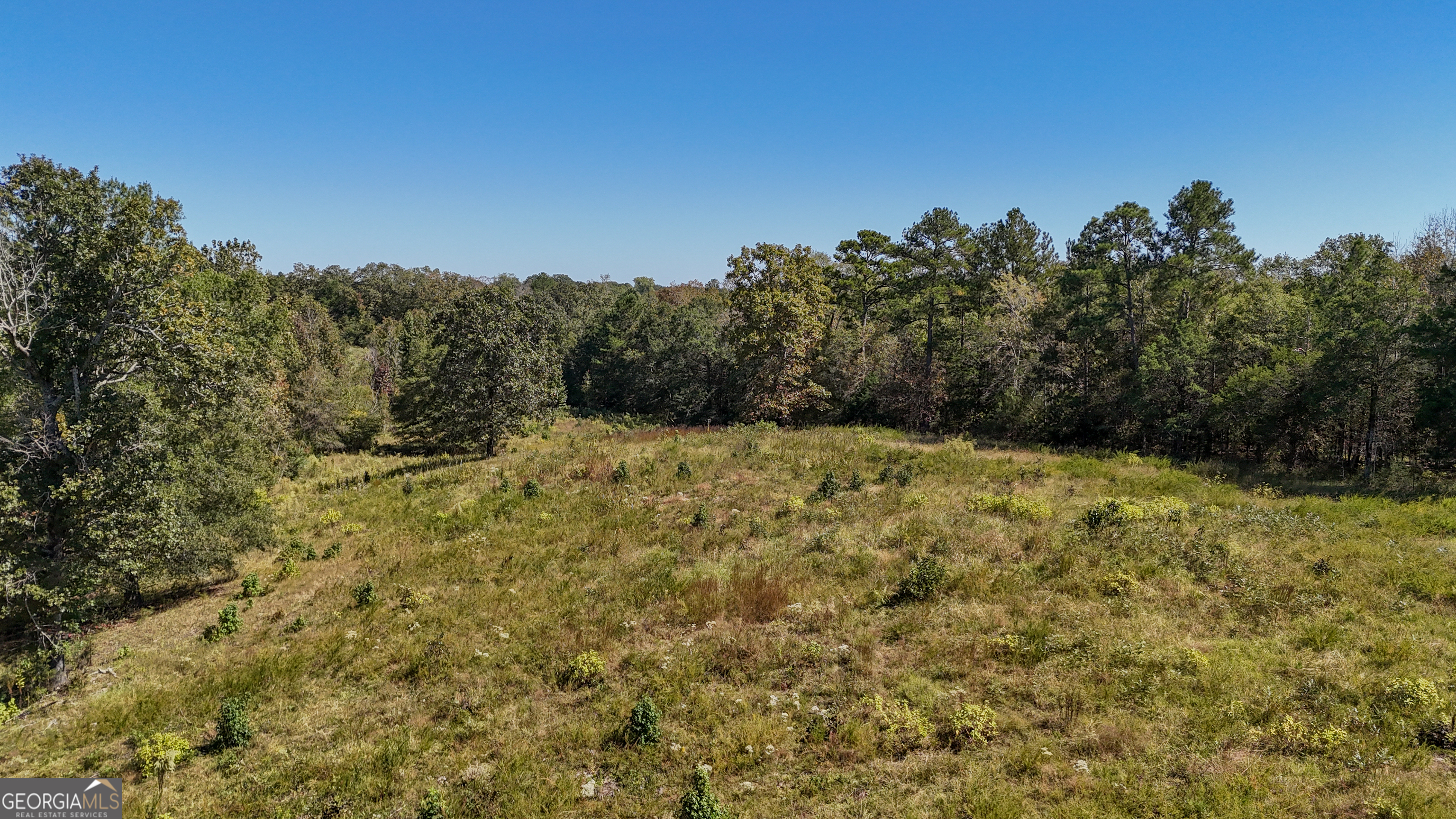 3 Calhoun Falls Highway Elberton, GA 30635 - Photo 7 of 14 a view of a yard with a tree