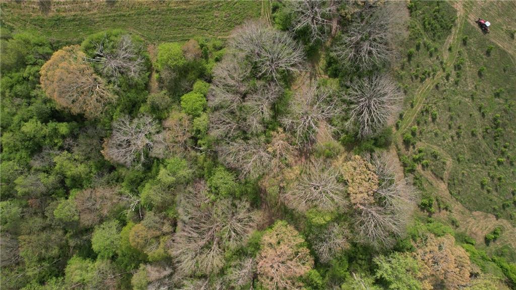 0 Franklin Goldmine 7.63 Acres Road Cumming, GA 30028 - Photo 5 of 5 a view of a lush green forest with houses