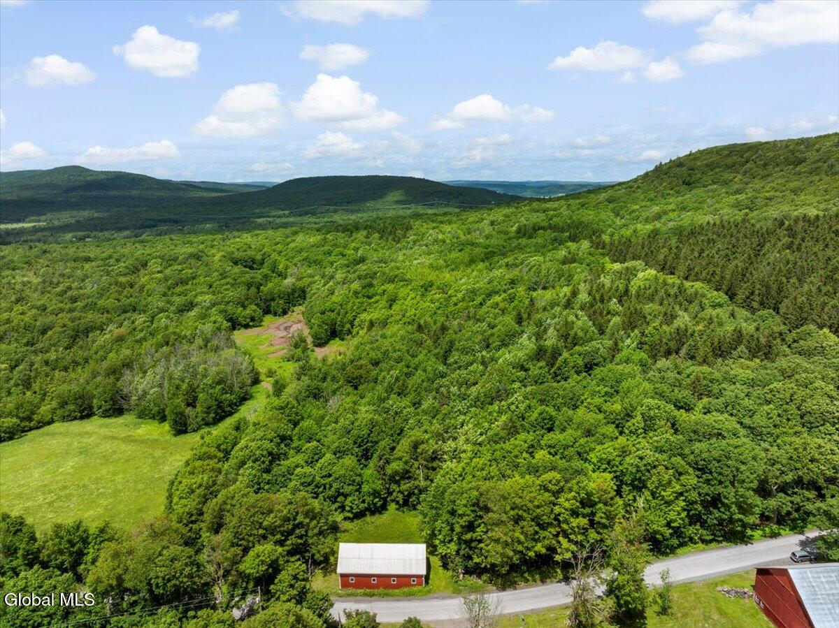 L3 Durham Road Conesville, NY 12076 - Photo 3 of 10 02-DJI_20250619133328_0147_D_TANY