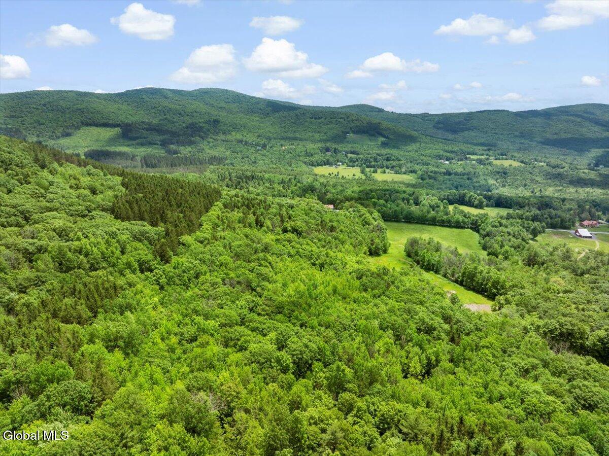 L3 Durham Road Conesville, NY 12076 - Photo 5 of 10 05-DJI_20250619133611_0159_D_TANY