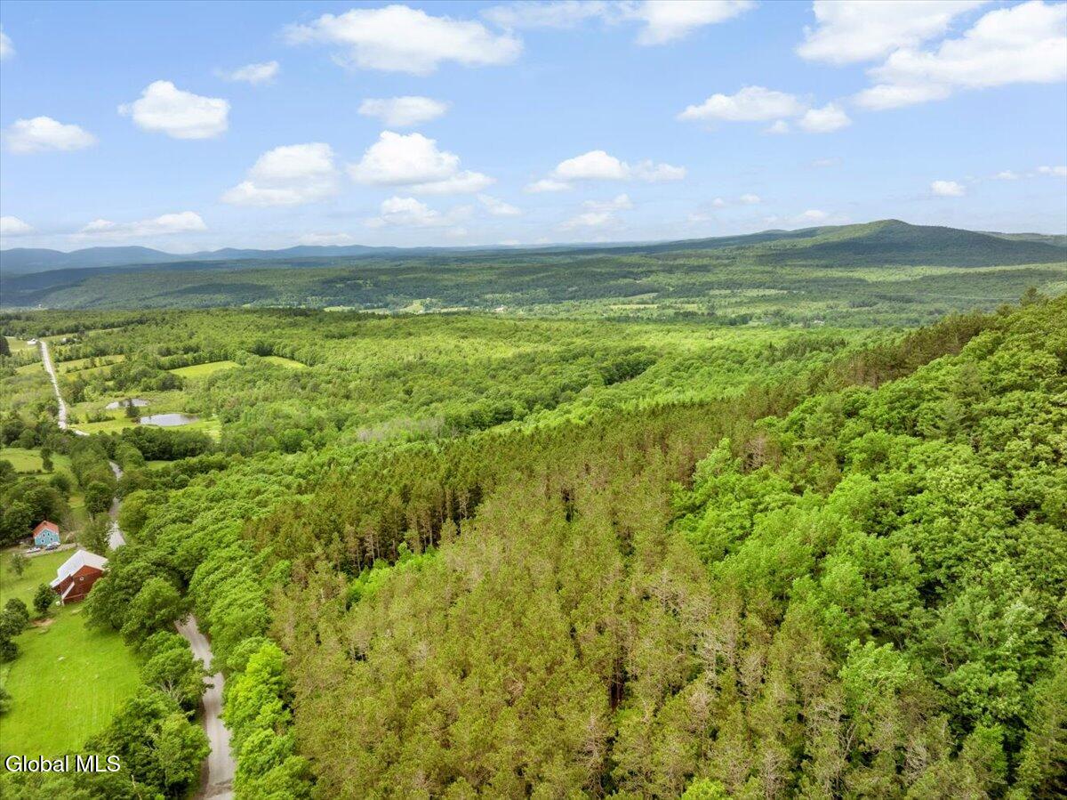 L3 Durham Road Conesville, NY 12076 - Photo 6 of 10 09-DJI_20250619133927_0171_D_TANY