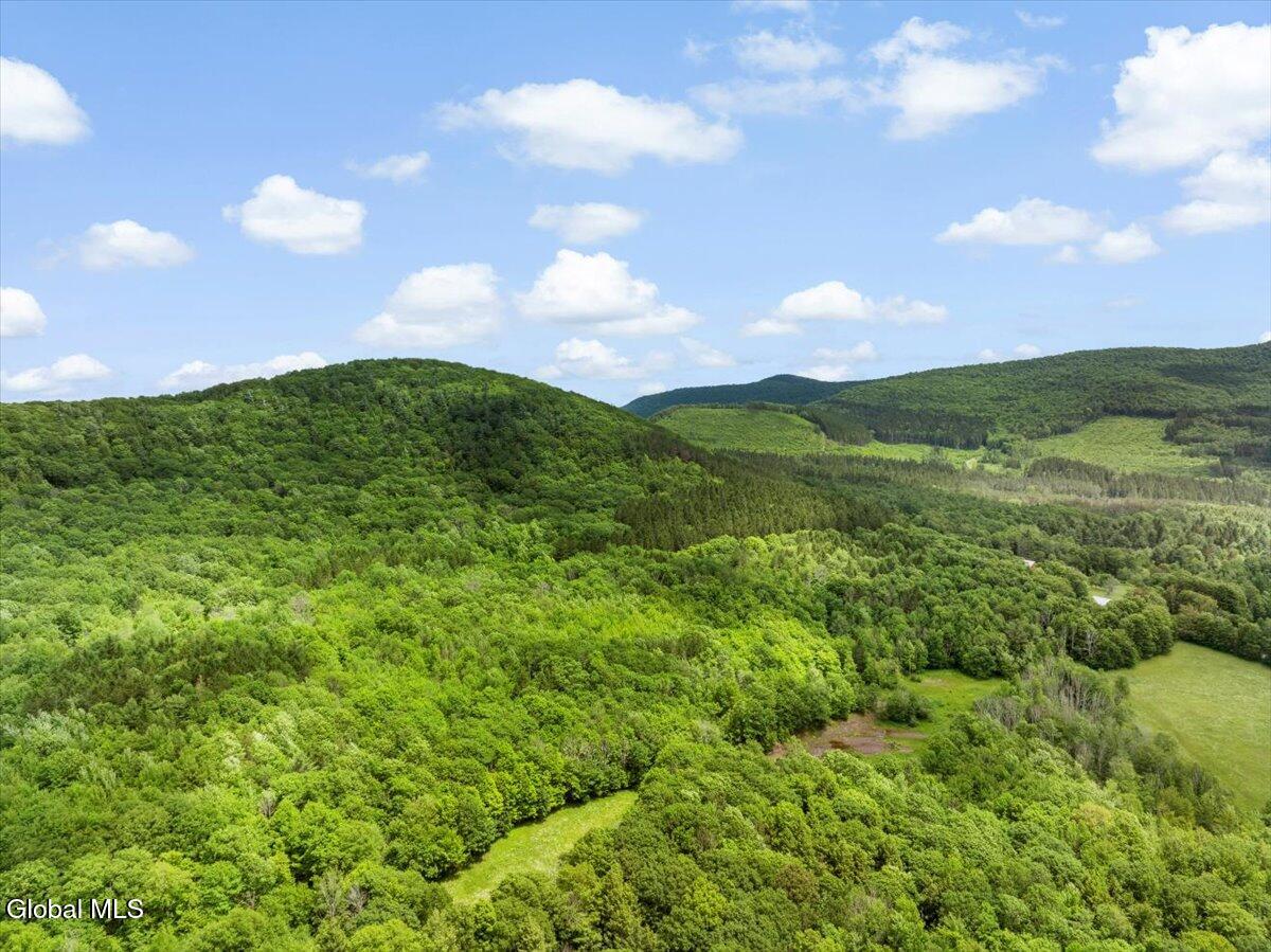 L3 Durham Road Conesville, NY 12076 - Photo 9 of 10 06-DJI_20250619133659_0162_D_TANY