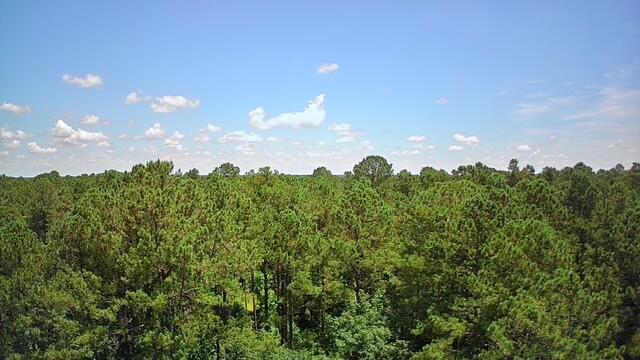 0 Nursery Road Reevesville, SC 29471 - Photo 4 of 11