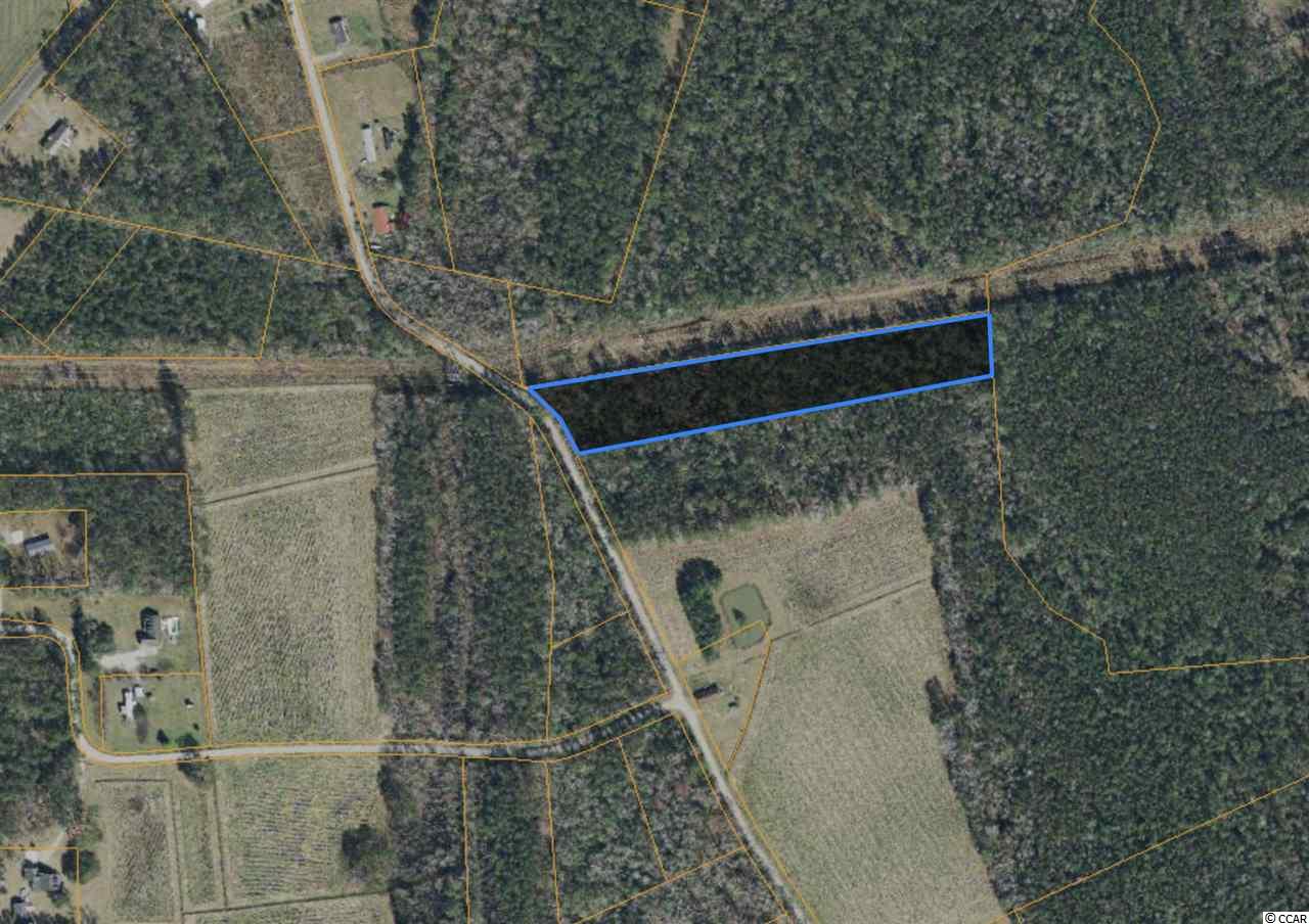 Tract F Dukes Road Conway, SC 29526 - Photo 1 of 2 Gallery Image 1