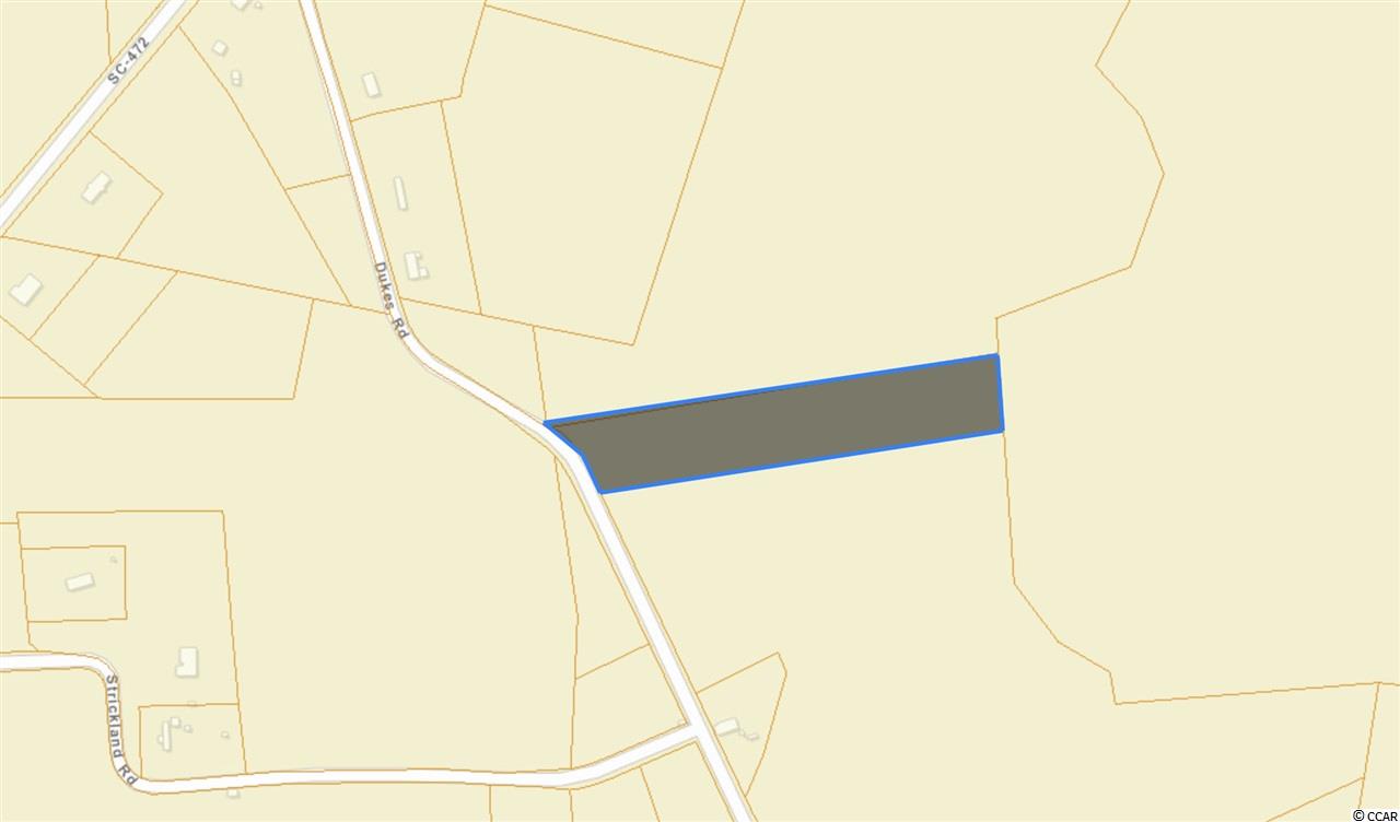 Tract F Dukes Road Conway, SC 29526 - Photo 2 of 2 Gallery Image 2