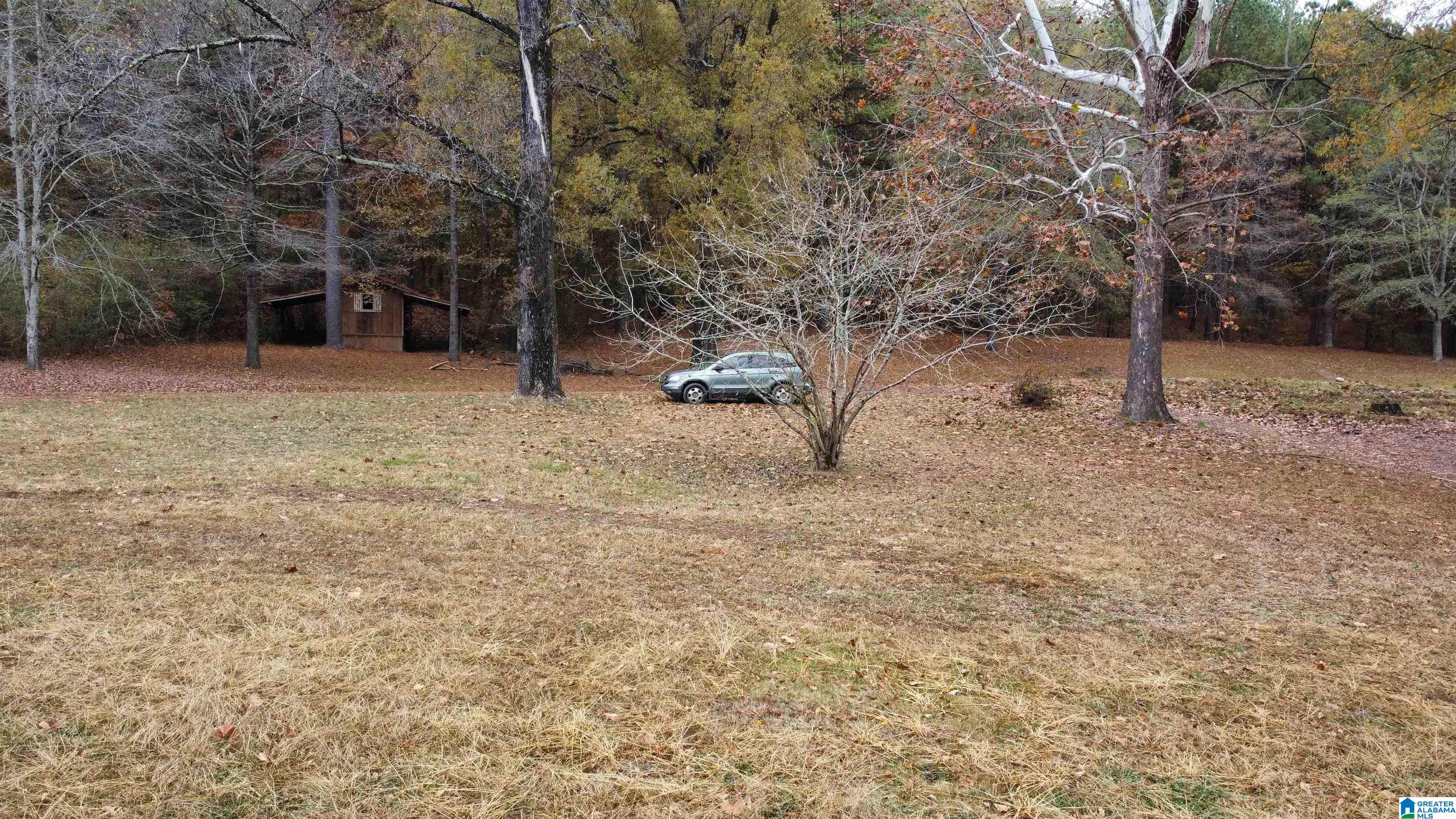 385 Jackson Street, Unit 385 Oakman, AL 35579 - Photo 7 of 19