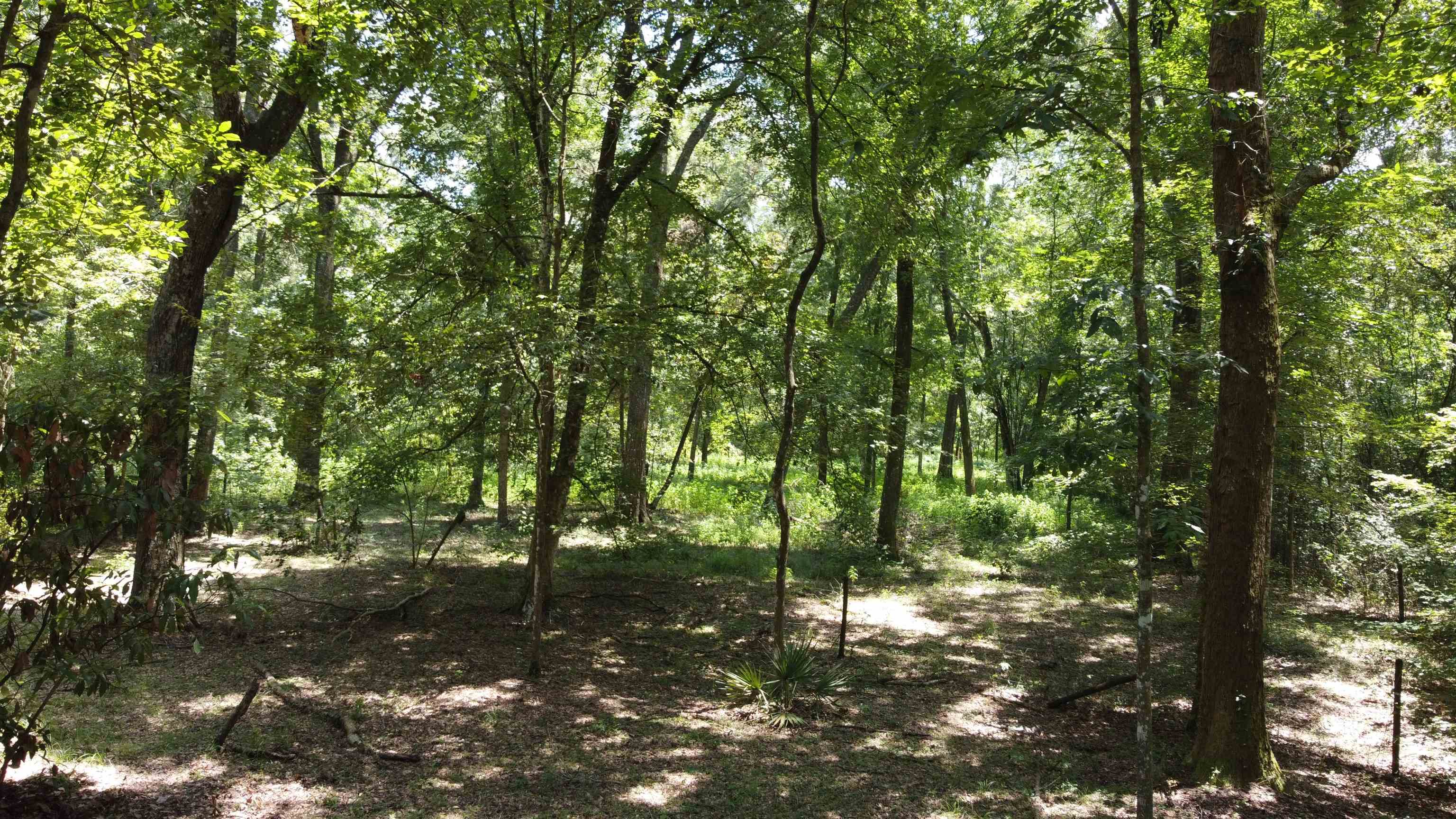 17268 181st Loop Live Oak, FL 32060 - Photo 16 of 69