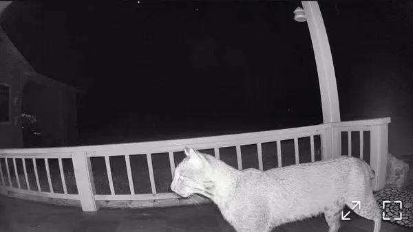 $310,000 | 17268 181st Loop, Live Oak, FL 32060