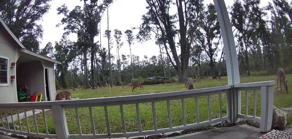 $310,000 | 17268 181st Loop, Live Oak, FL 32060