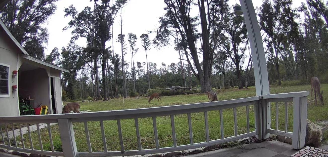 17268 181st Loop Live Oak, FL 32060 - Photo 24 of 69