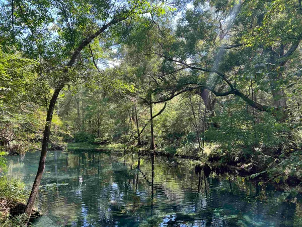 $310,000 | 17268 181st Loop, Live Oak, FL 32060