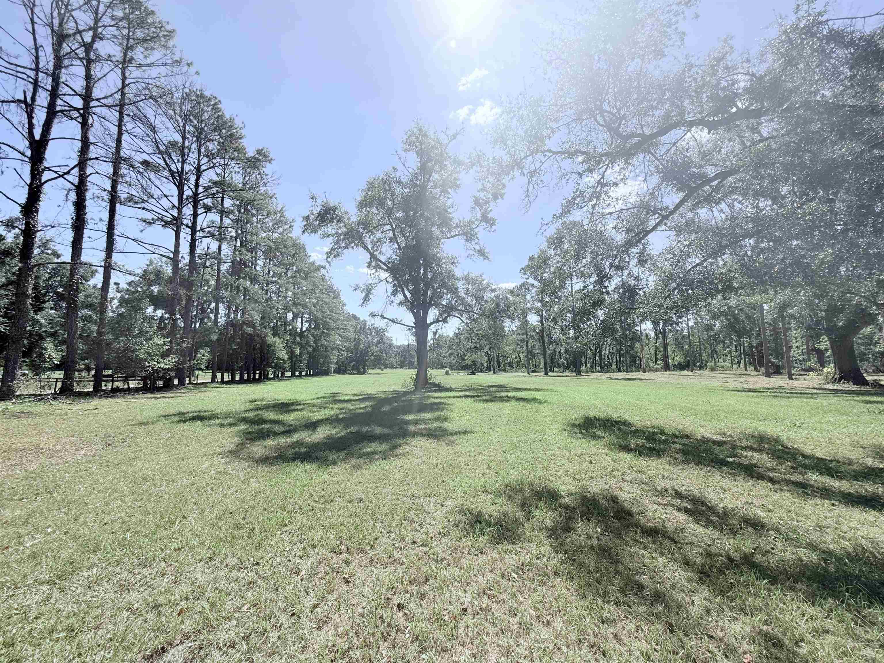 17268 181st Loop Live Oak, FL 32060 - Photo 46 of 69