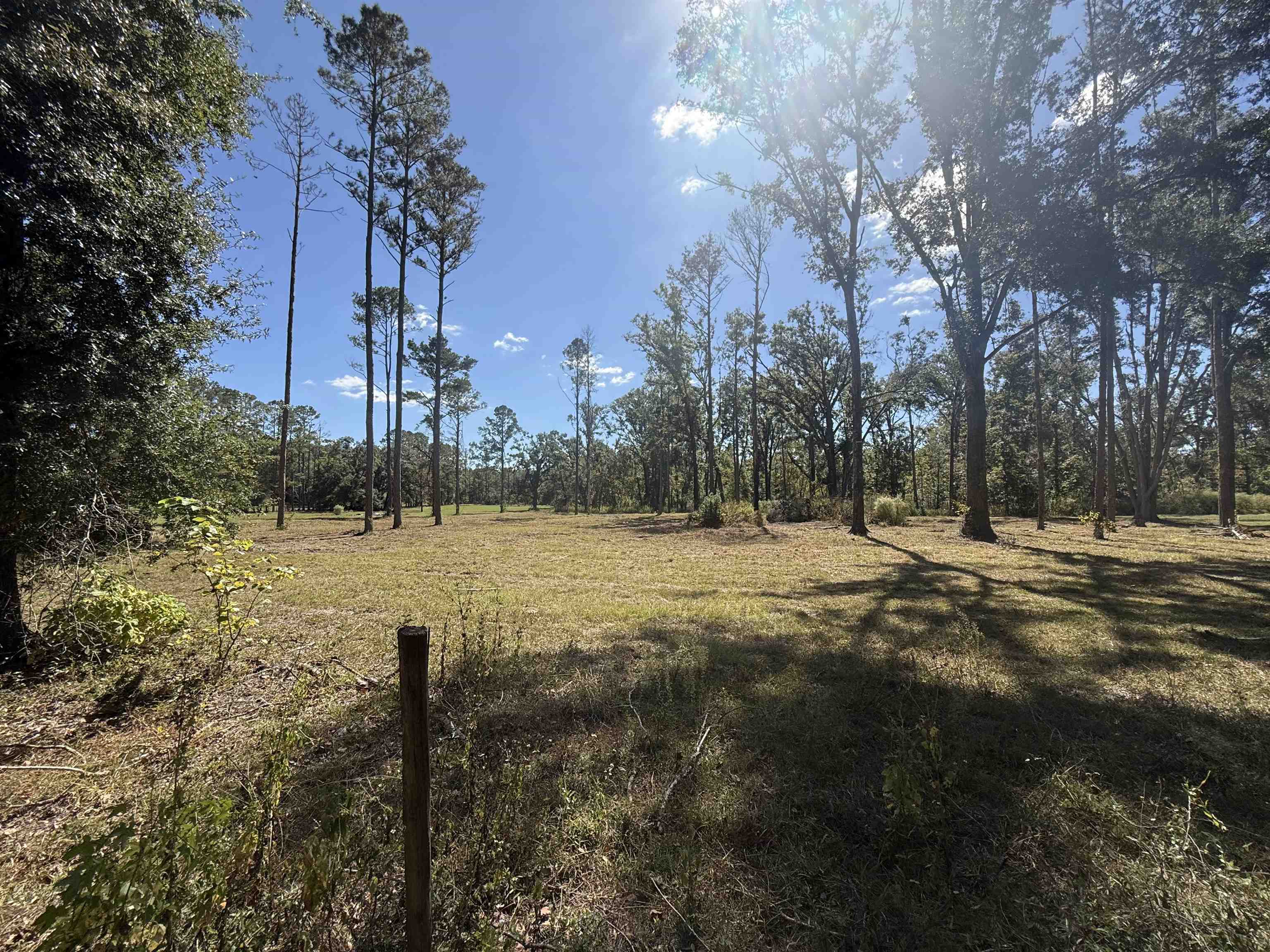 17268 181st Loop Live Oak, FL 32060 - Photo 48 of 69