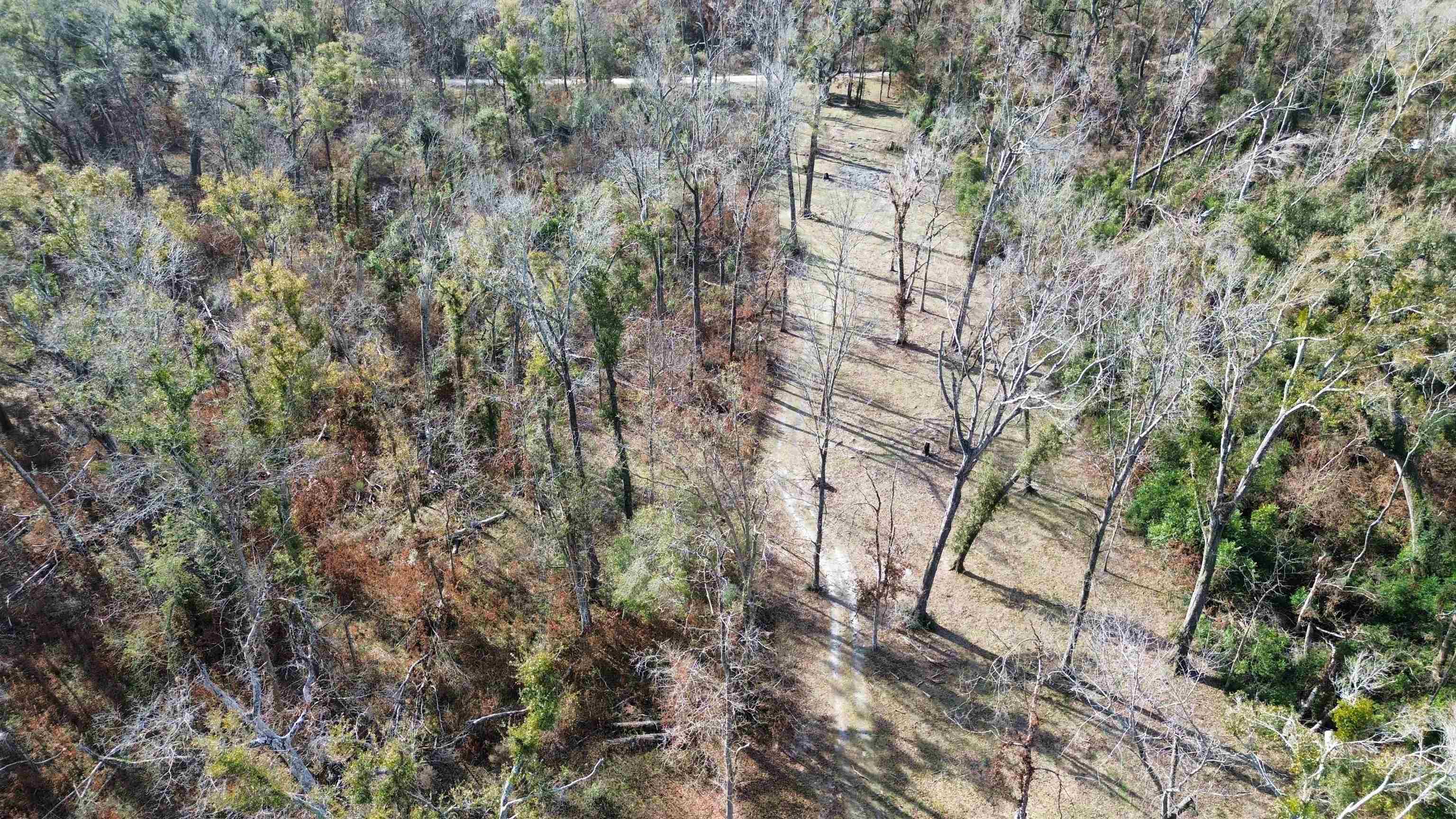 17268 181st Loop Live Oak, FL 32060 - Photo 51 of 69