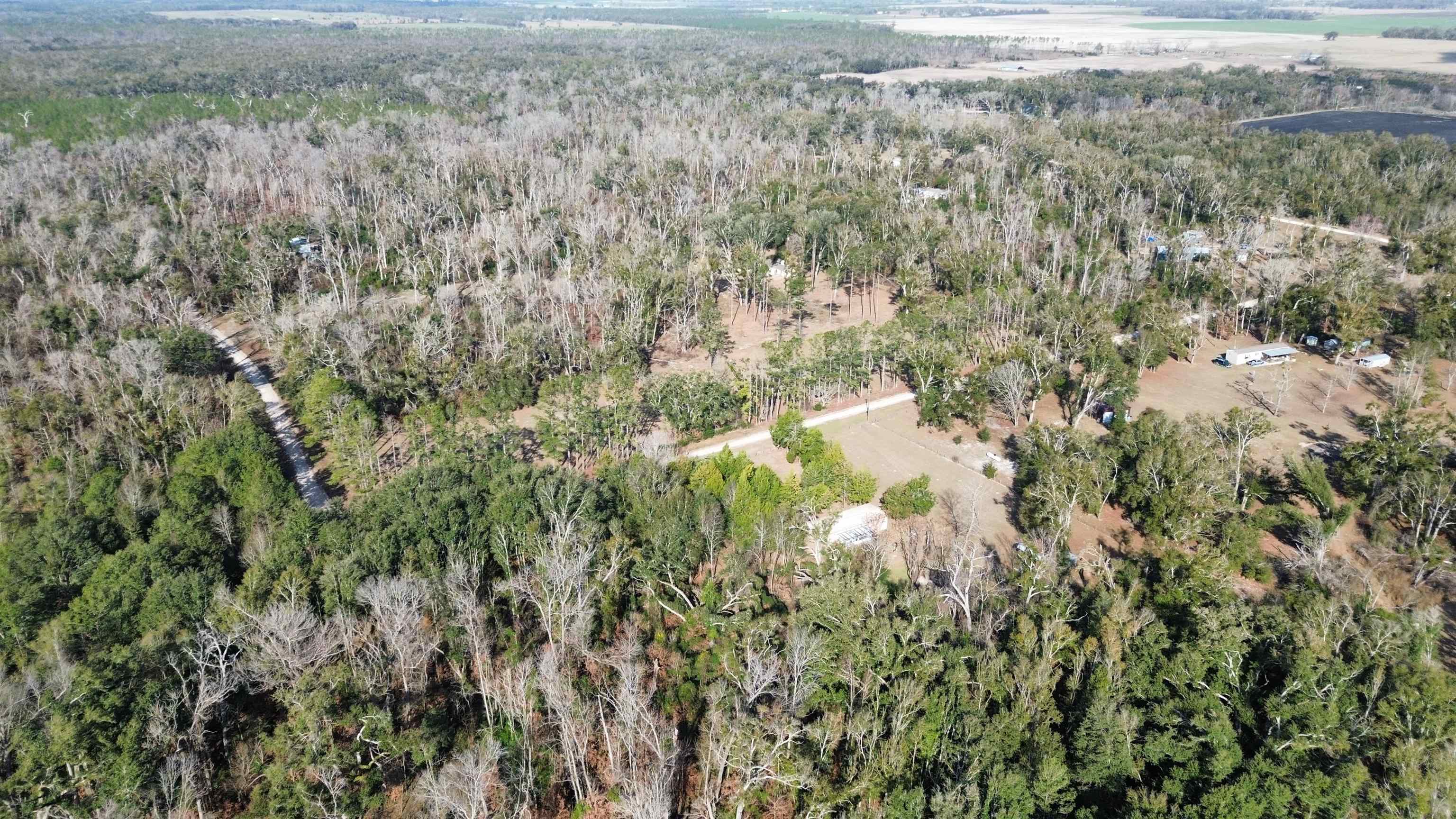 17268 181st Loop Live Oak, FL 32060 - Photo 52 of 69