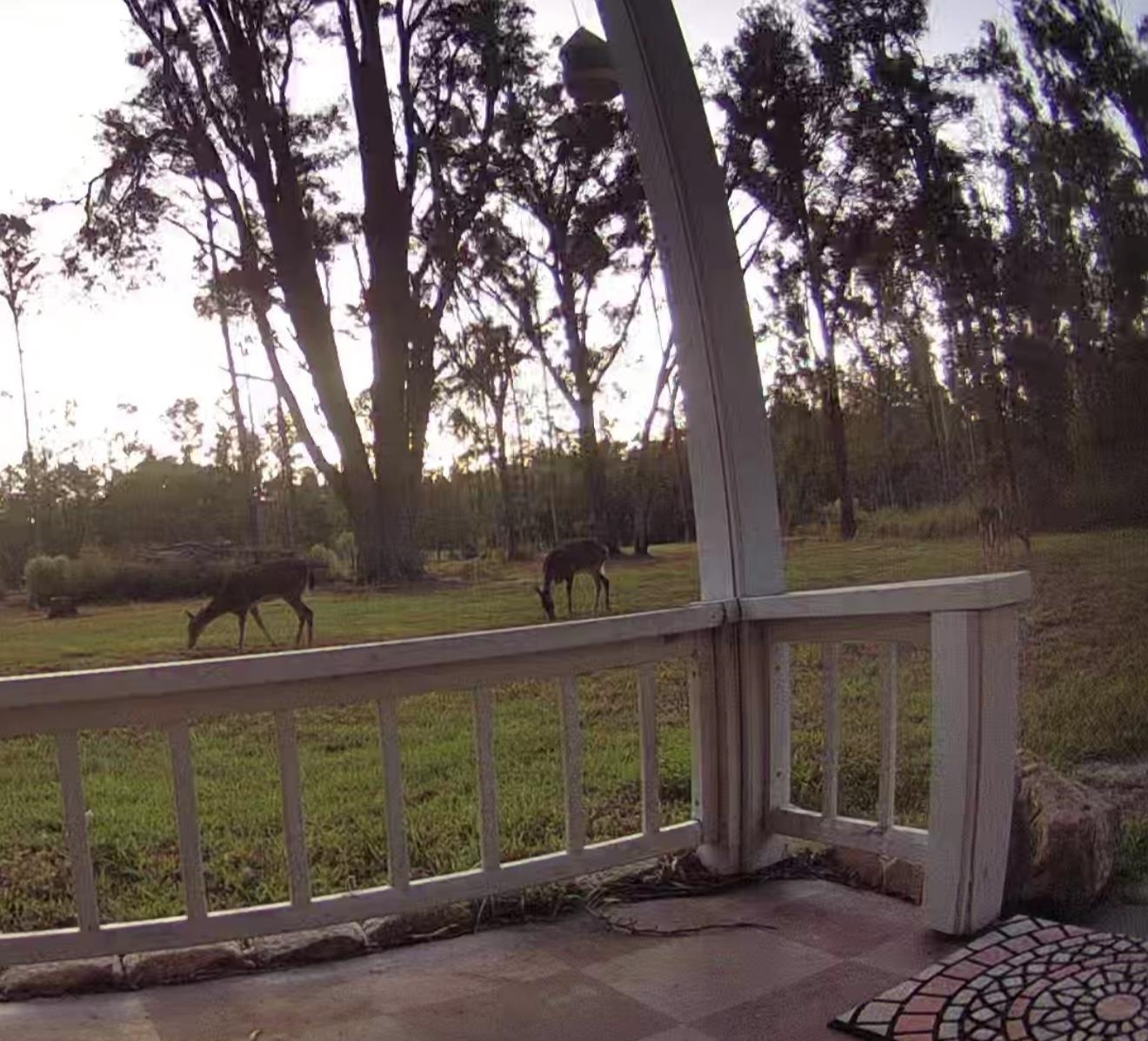 17268 181st Loop Live Oak, FL 32060 - Photo 55 of 69