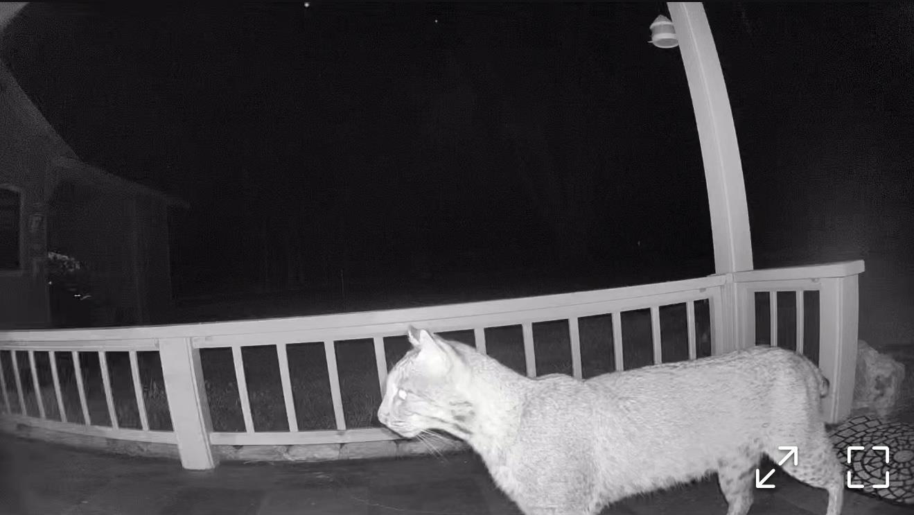 17268 181st Loop Live Oak, FL 32060 - Photo 56 of 69